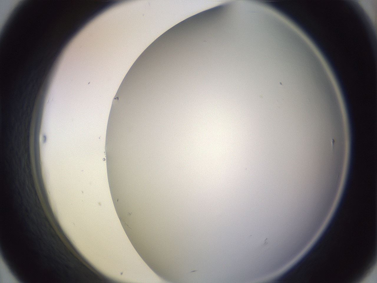 folderID359_plateID1359_batchID4716_wellNum43_profileID1_d1_r82134_ef.jpg