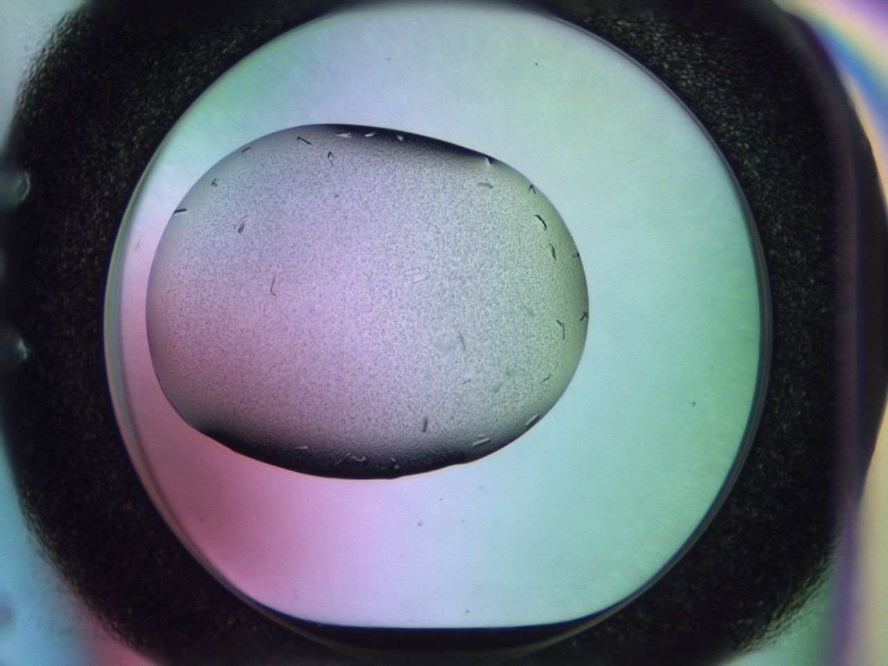 02kk_E5_ImagerDefaults_9.jpg