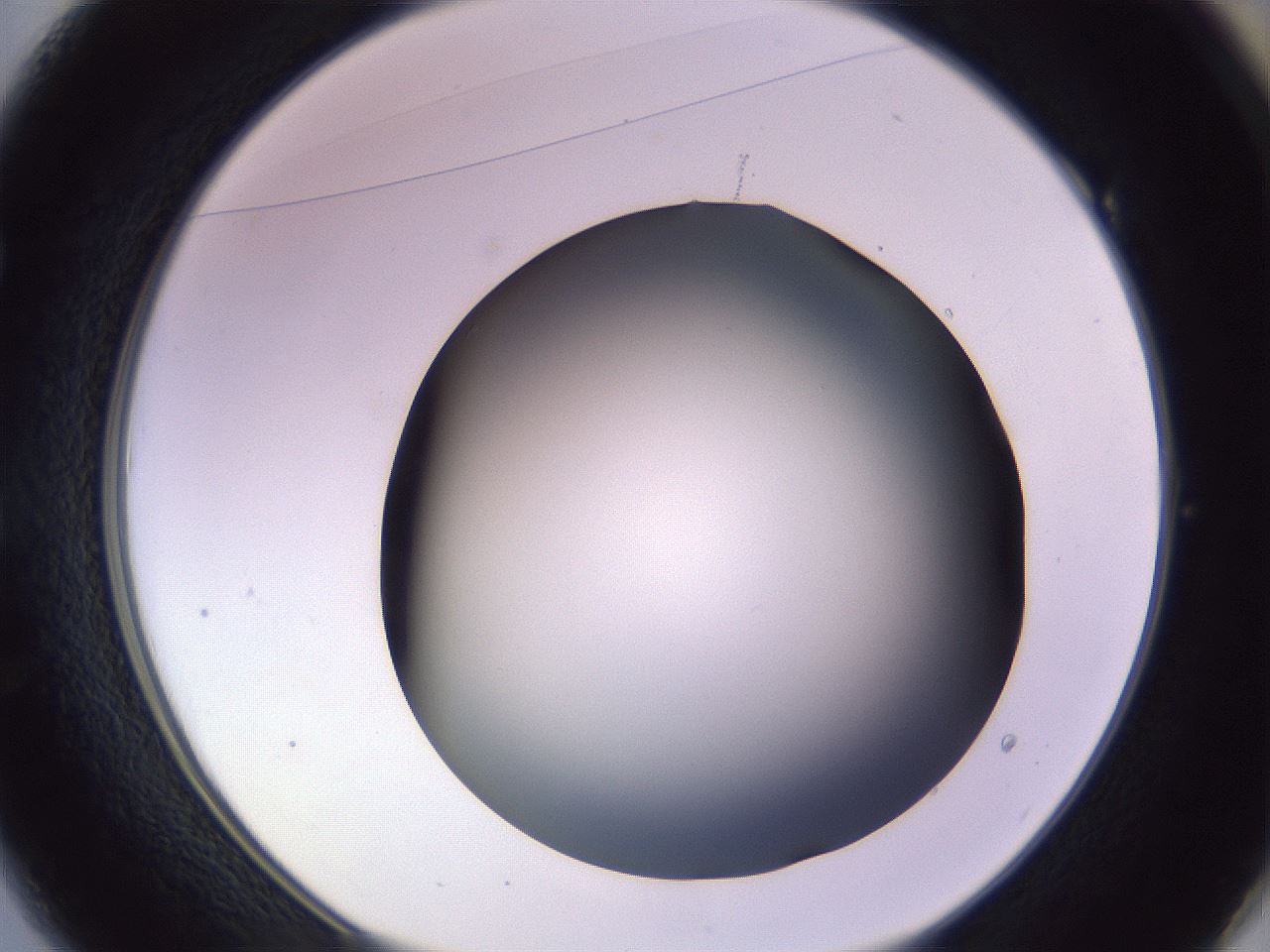 folderID359_plateID1359_batchID4716_wellNum49_profileID1_d1_r82140_ef.jpg