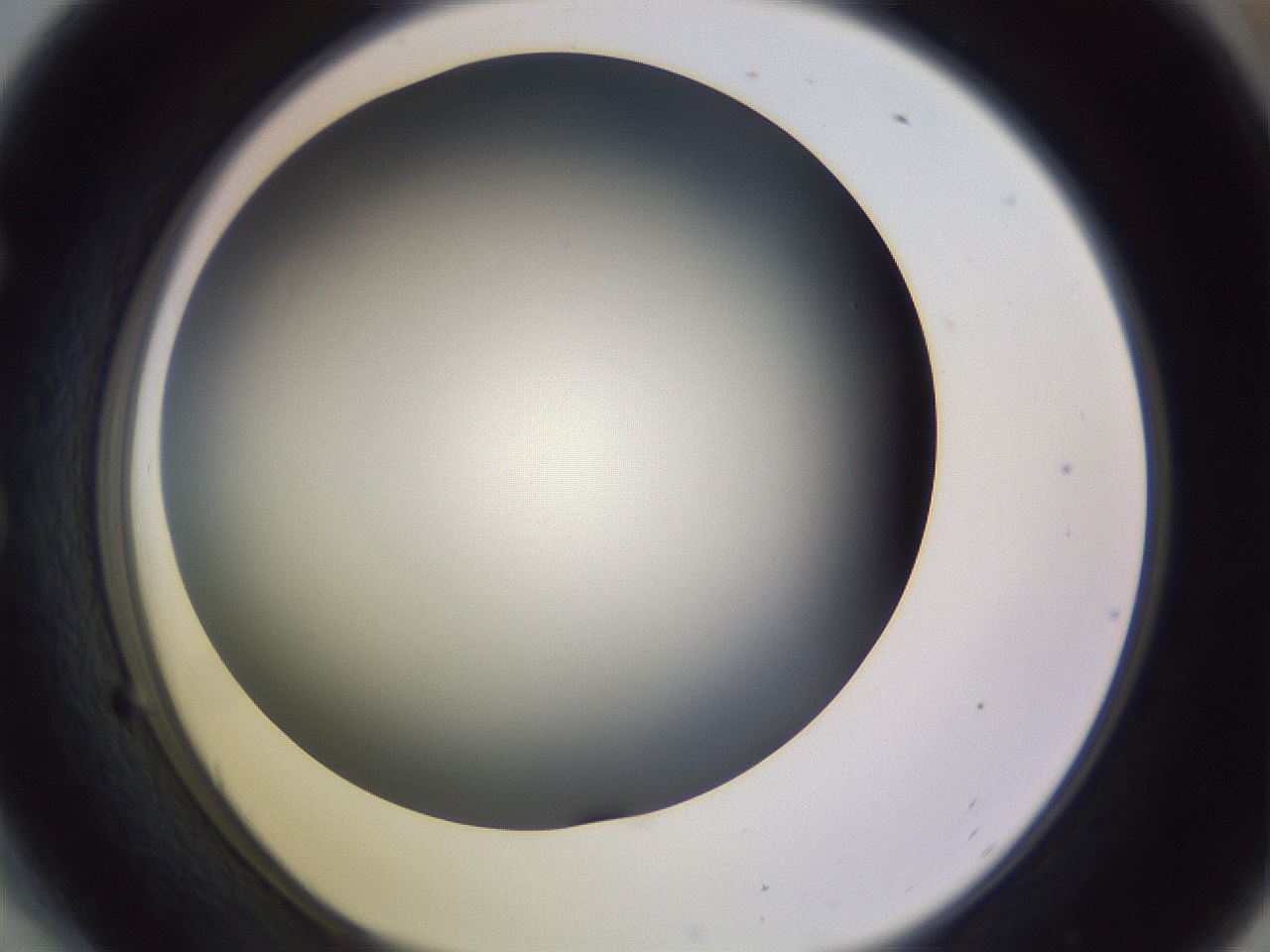 folderID359_plateID1359_batchID4716_wellNum54_profileID1_d1_r82145_ef.jpg