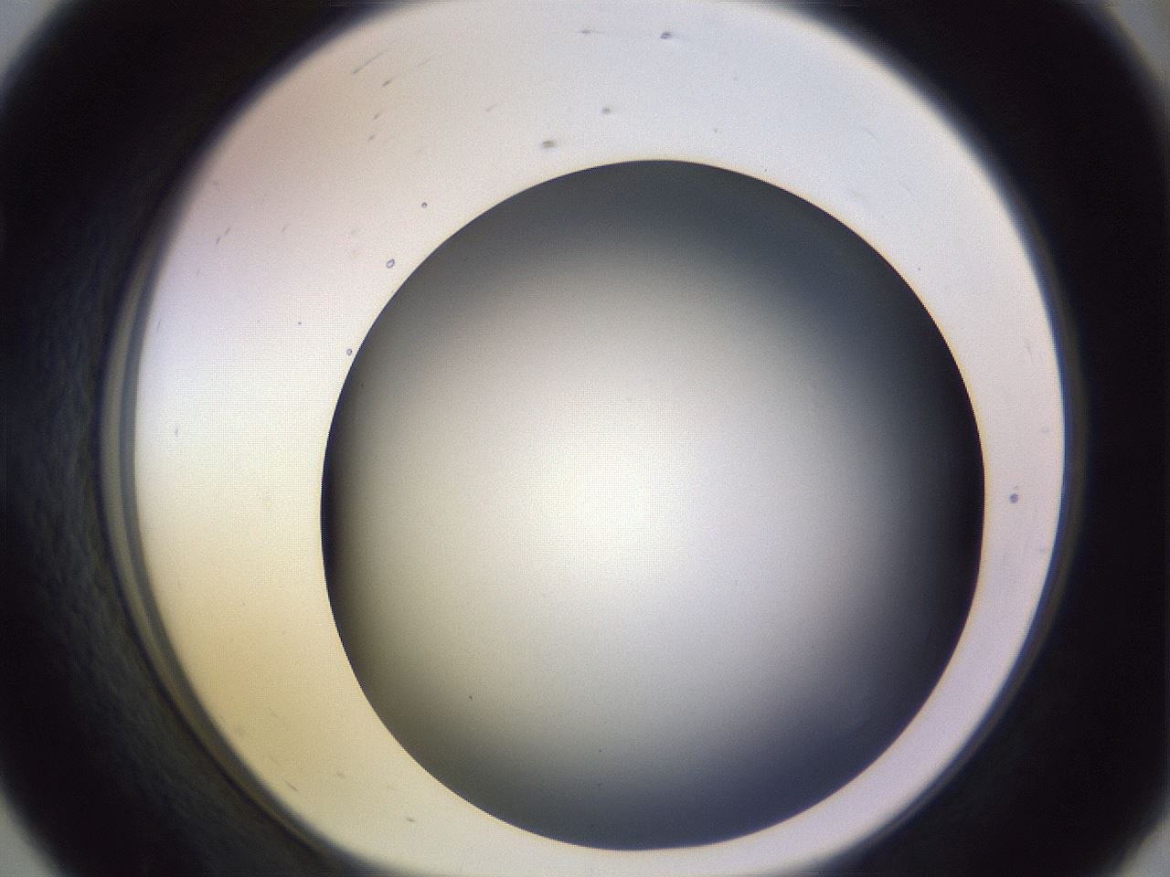 folderID359_plateID1359_batchID4716_wellNum56_profileID1_d1_r82147_ef.jpg