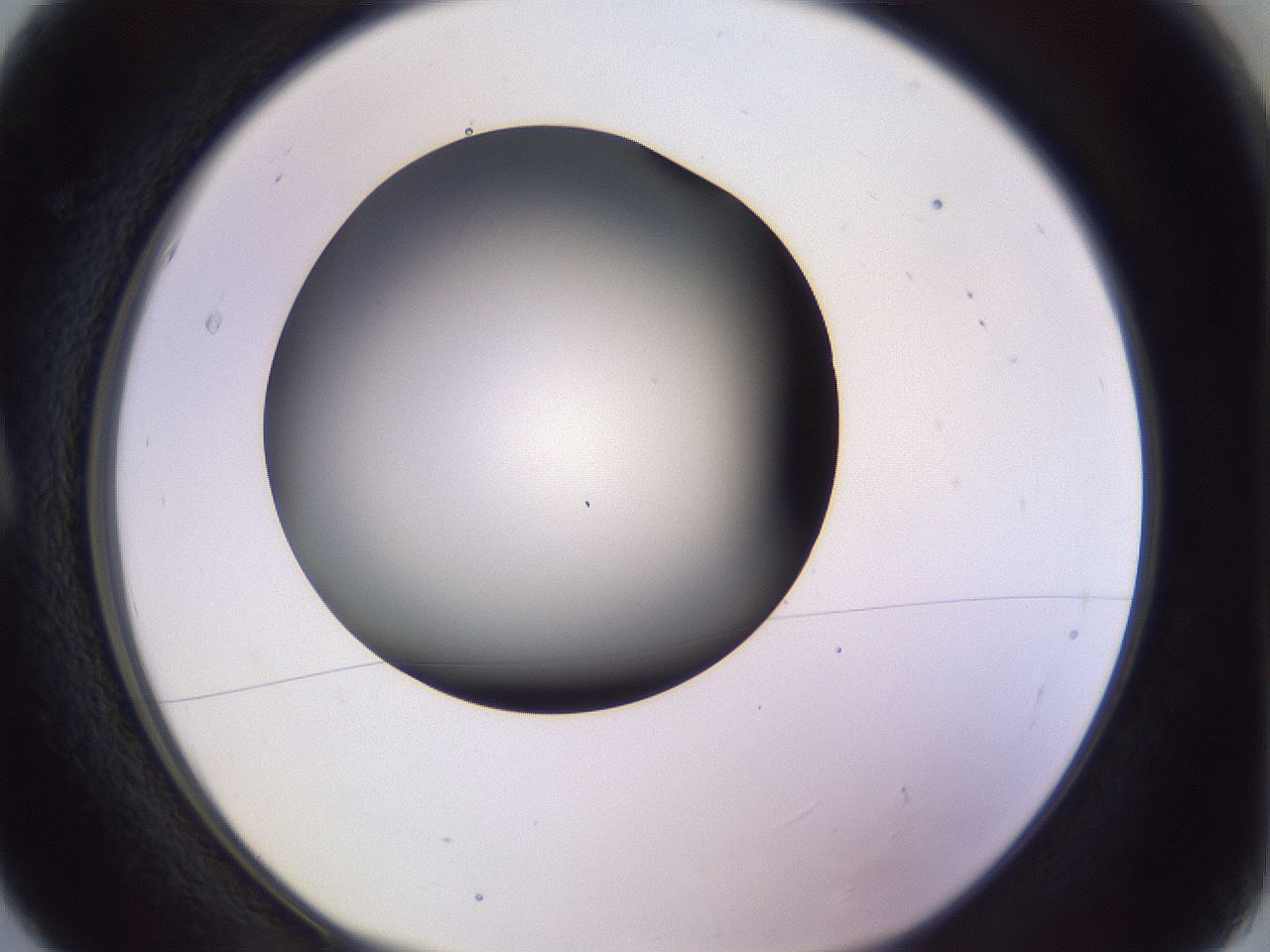 folderID359_plateID1359_batchID4716_wellNum5_profileID1_d1_r82096_ef.jpg