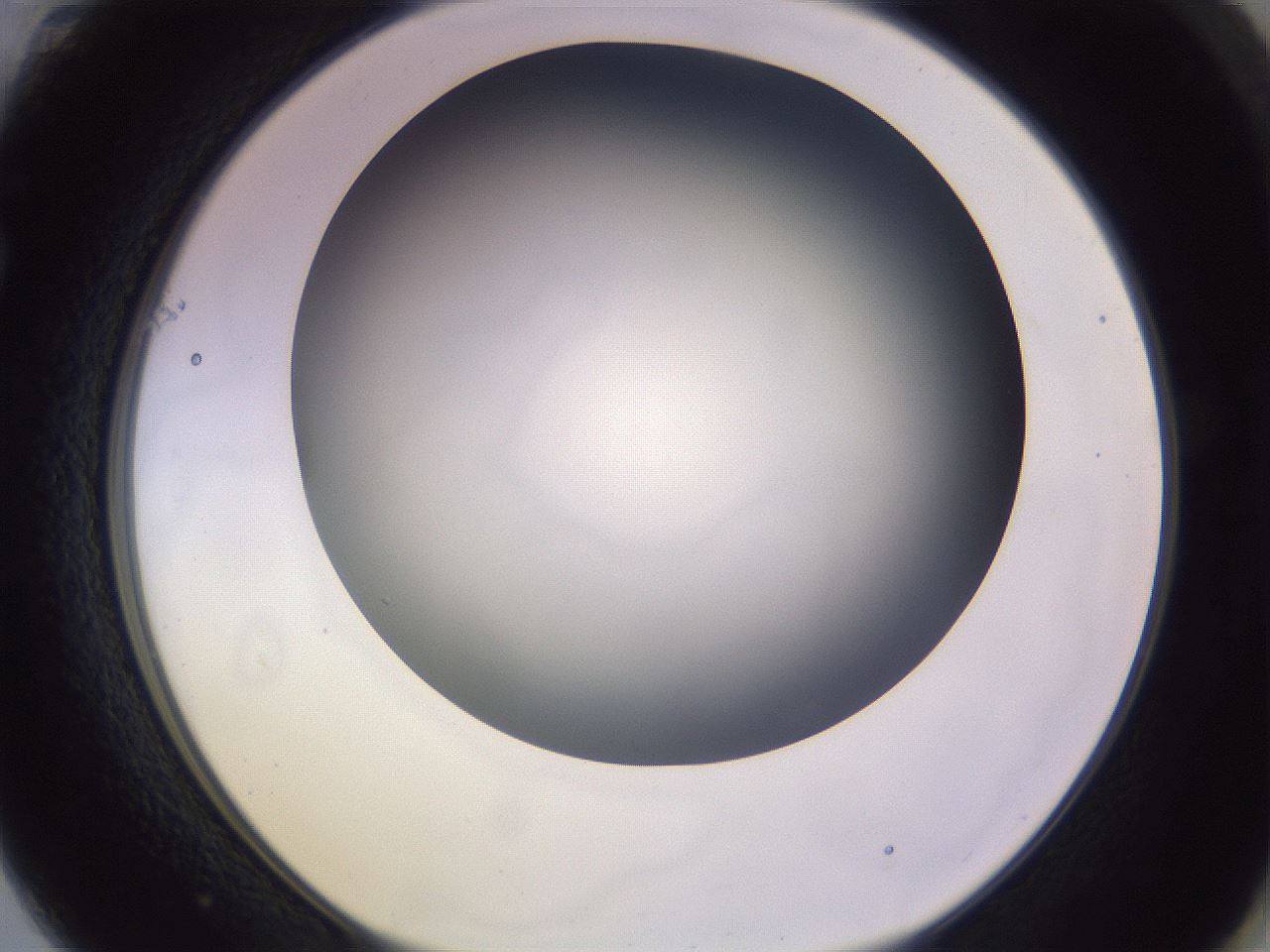 folderID359_plateID1359_batchID4716_wellNum61_profileID1_d1_r82152_ef.jpg