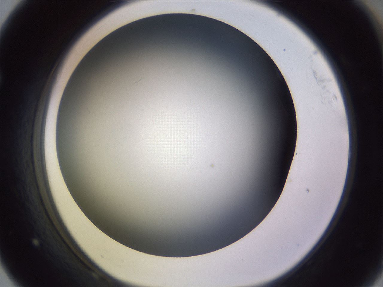folderID359_plateID1359_batchID4716_wellNum68_profileID1_d1_r82159_ef.jpg