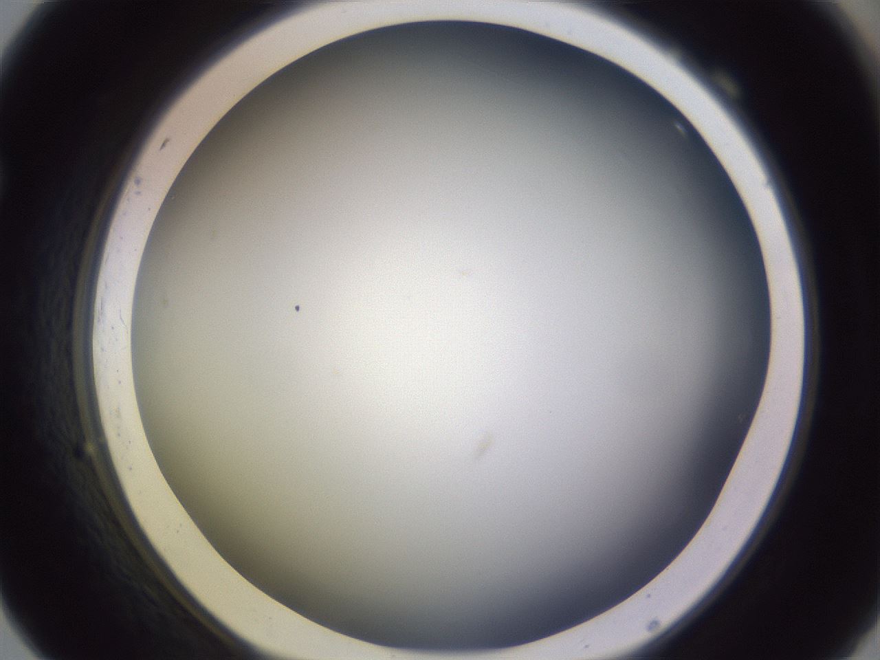 folderID359_plateID1359_batchID4716_wellNum69_profileID1_d1_r82160_ef.jpg