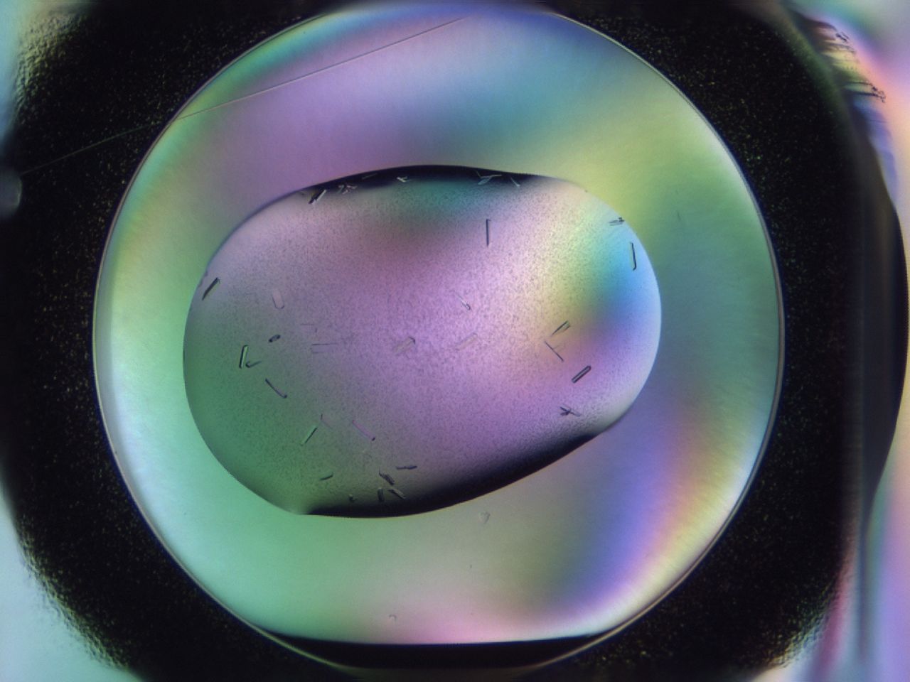 02kk_F1_ImagerDefaults_9.jpg