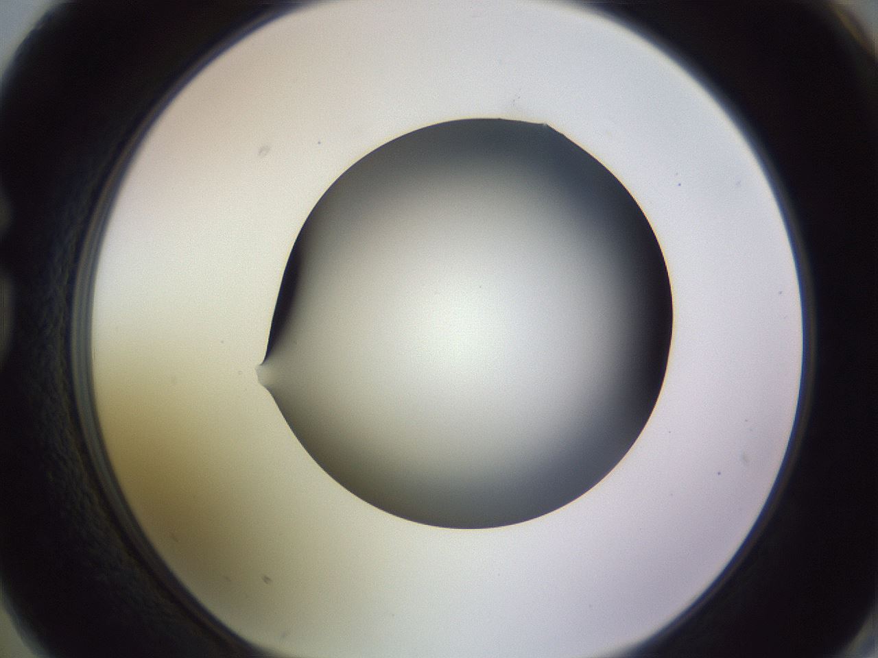 folderID359_plateID1359_batchID4716_wellNum74_profileID1_d1_r82165_ef.jpg