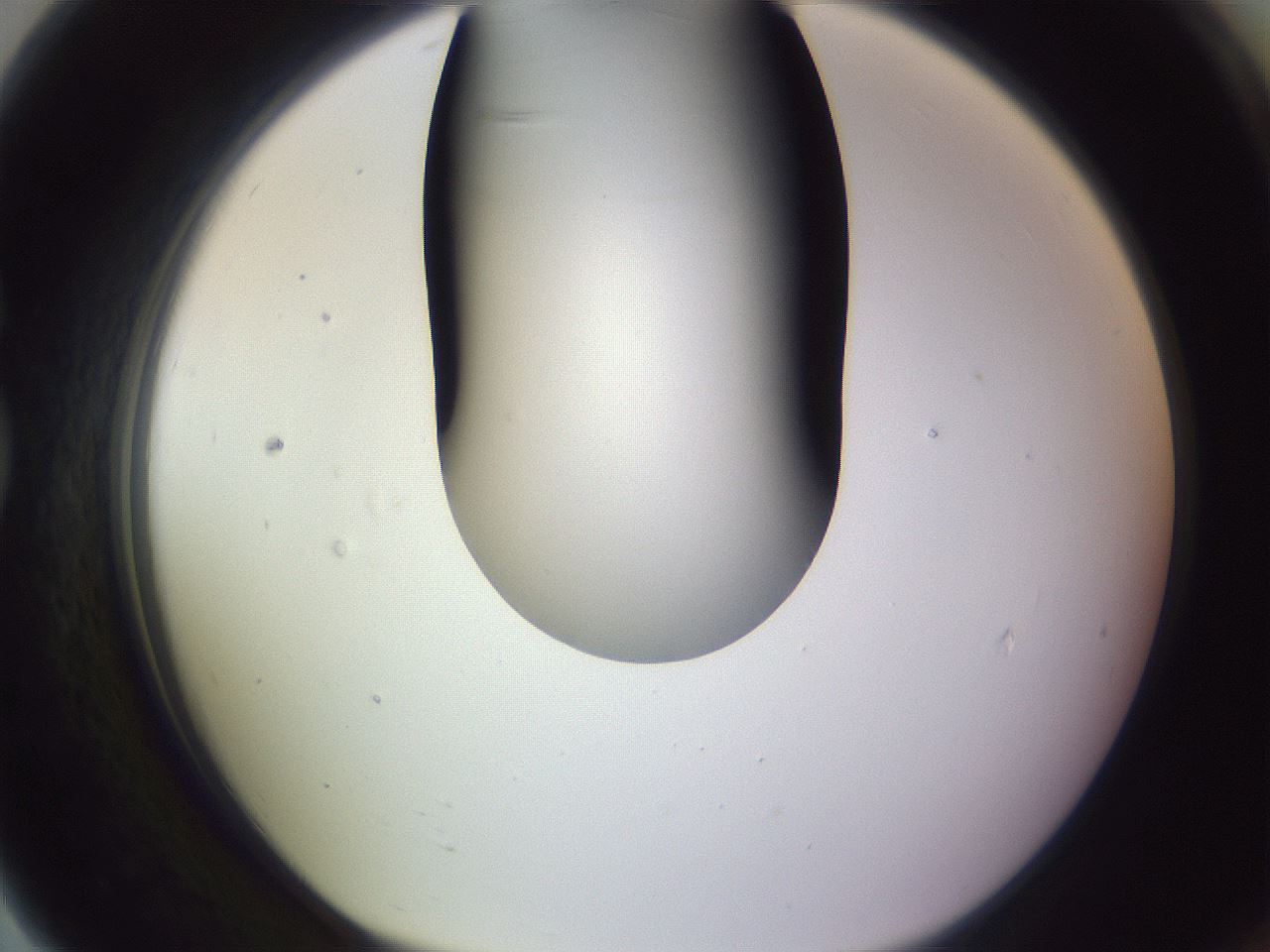 folderID359_plateID1359_batchID4716_wellNum79_profileID1_d1_r82170_ef.jpg