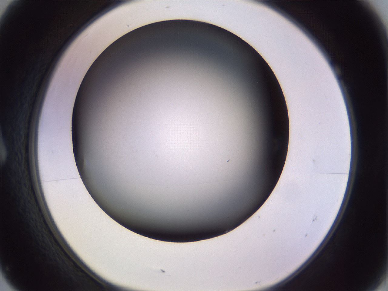 folderID359_plateID1359_batchID4716_wellNum7_profileID1_d1_r82098_ef.jpg