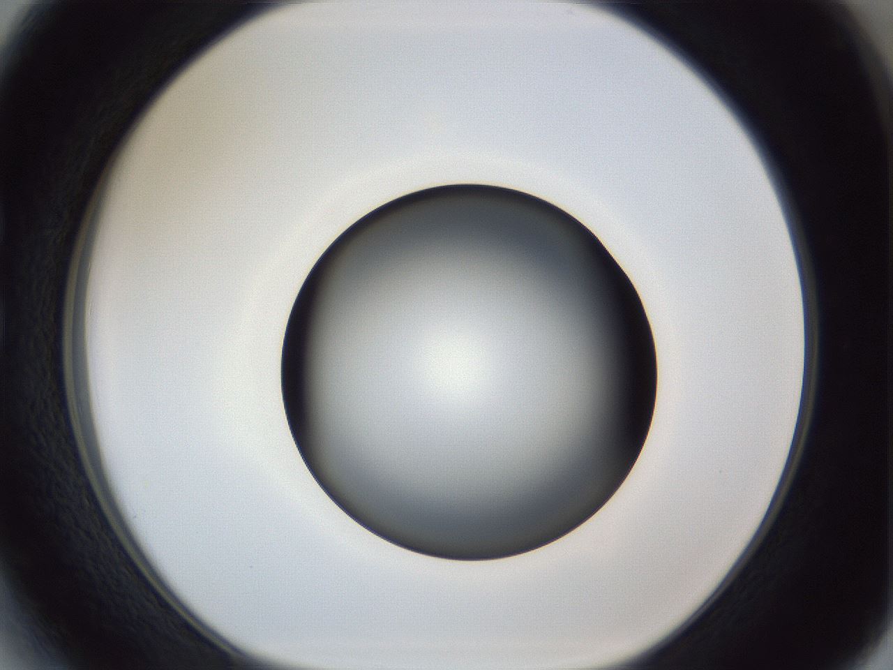 folderID364_plateID1364_batchID4726_wellNum27_profileID1_d1_r82628_ef.jpg