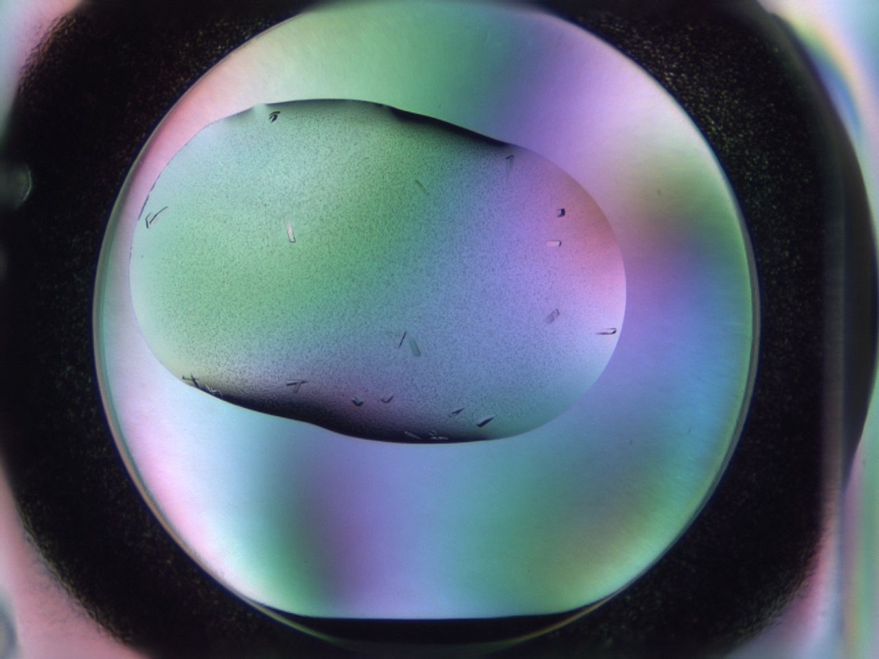 02kk_F3_ImagerDefaults_9.jpg