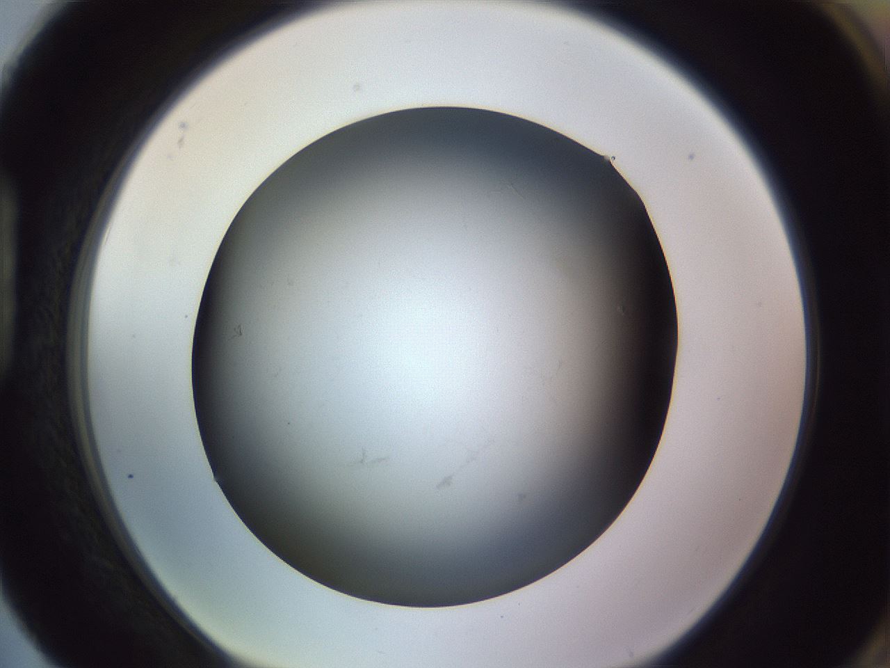 folderID359_plateID1359_batchID4716_wellNum88_profileID1_d1_r82179_ef.jpg