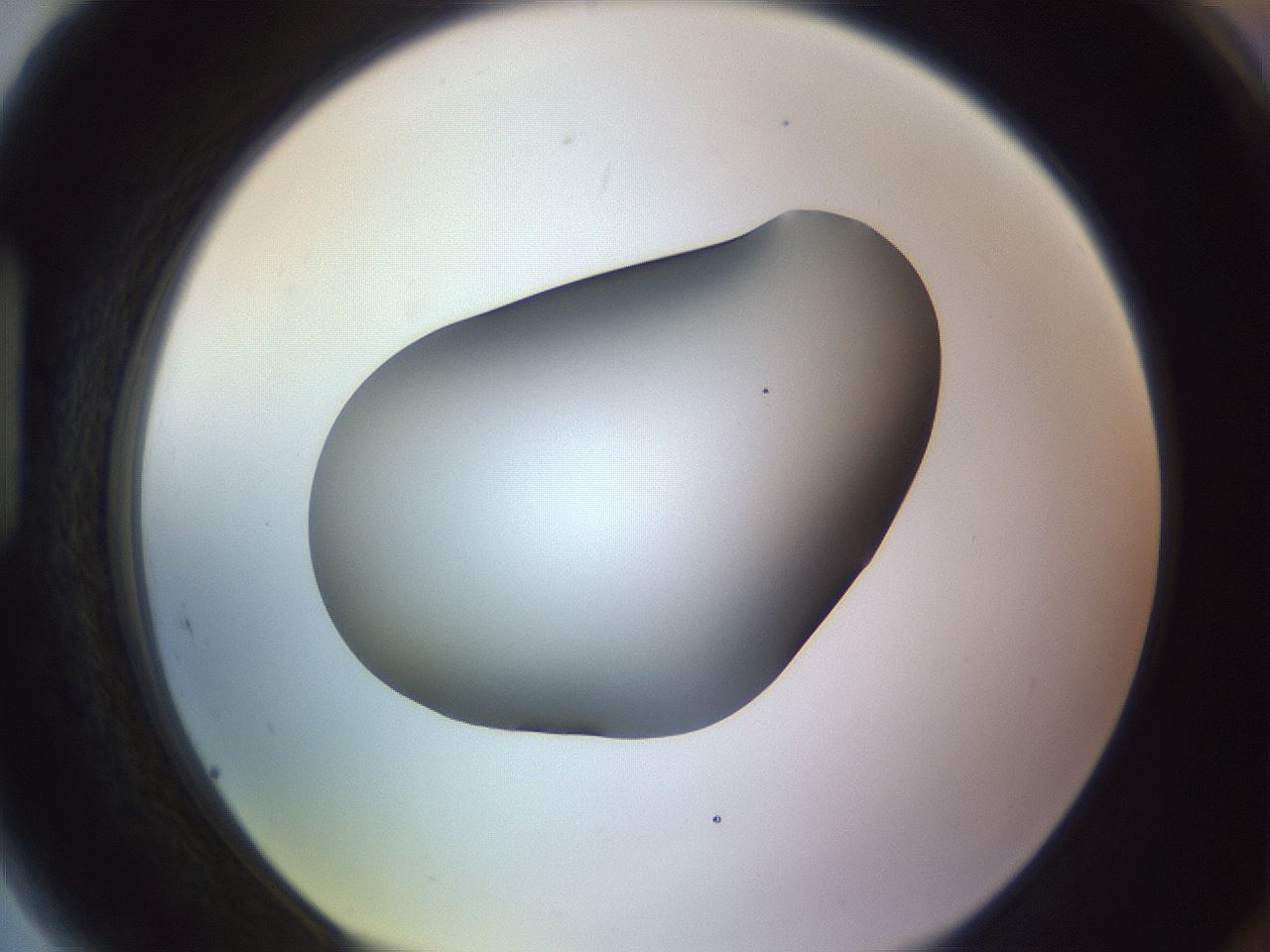 folderID359_plateID1359_batchID4716_wellNum89_profileID1_d1_r82180_ef.jpg