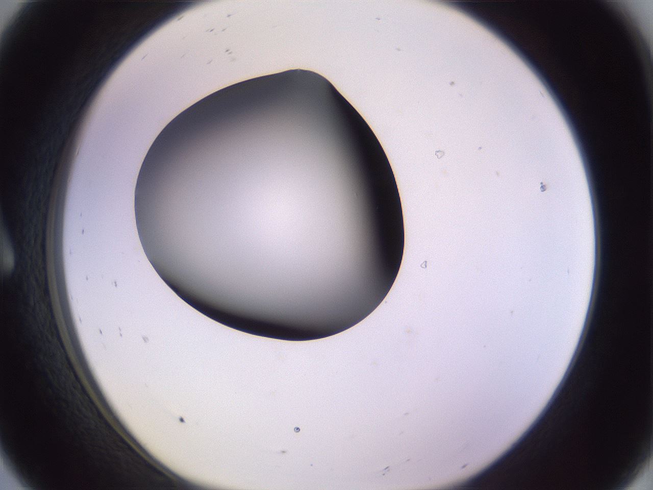 folderID359_plateID1359_batchID4716_wellNum8_profileID1_d1_r82099_ef.jpg