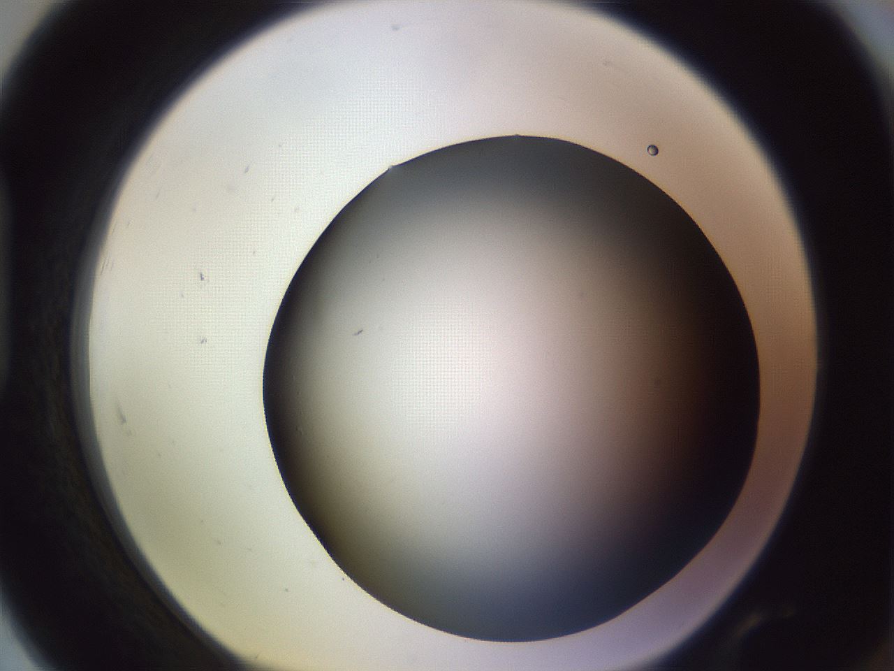 folderID359_plateID1359_batchID4716_wellNum91_profileID1_d1_r82182_ef.jpg