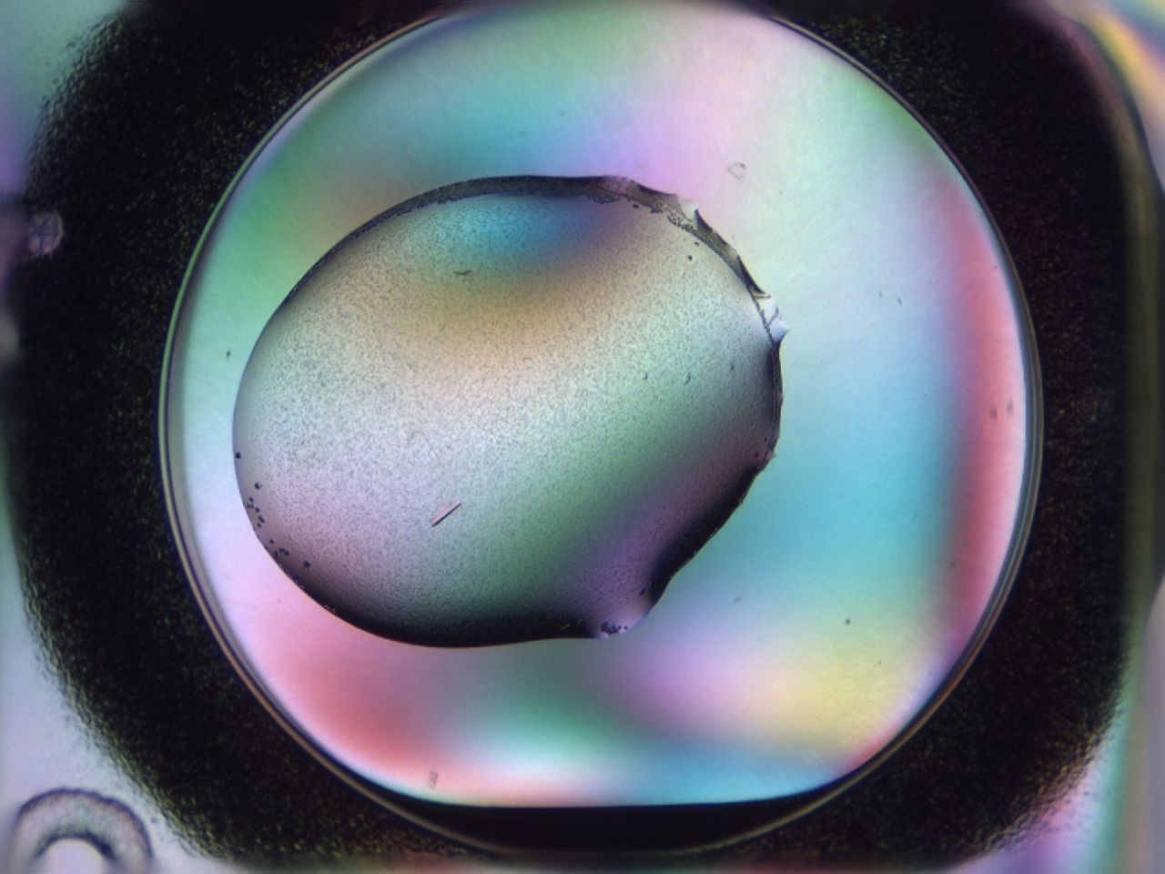 02kk_F10_ImagerDefaults_9.jpg