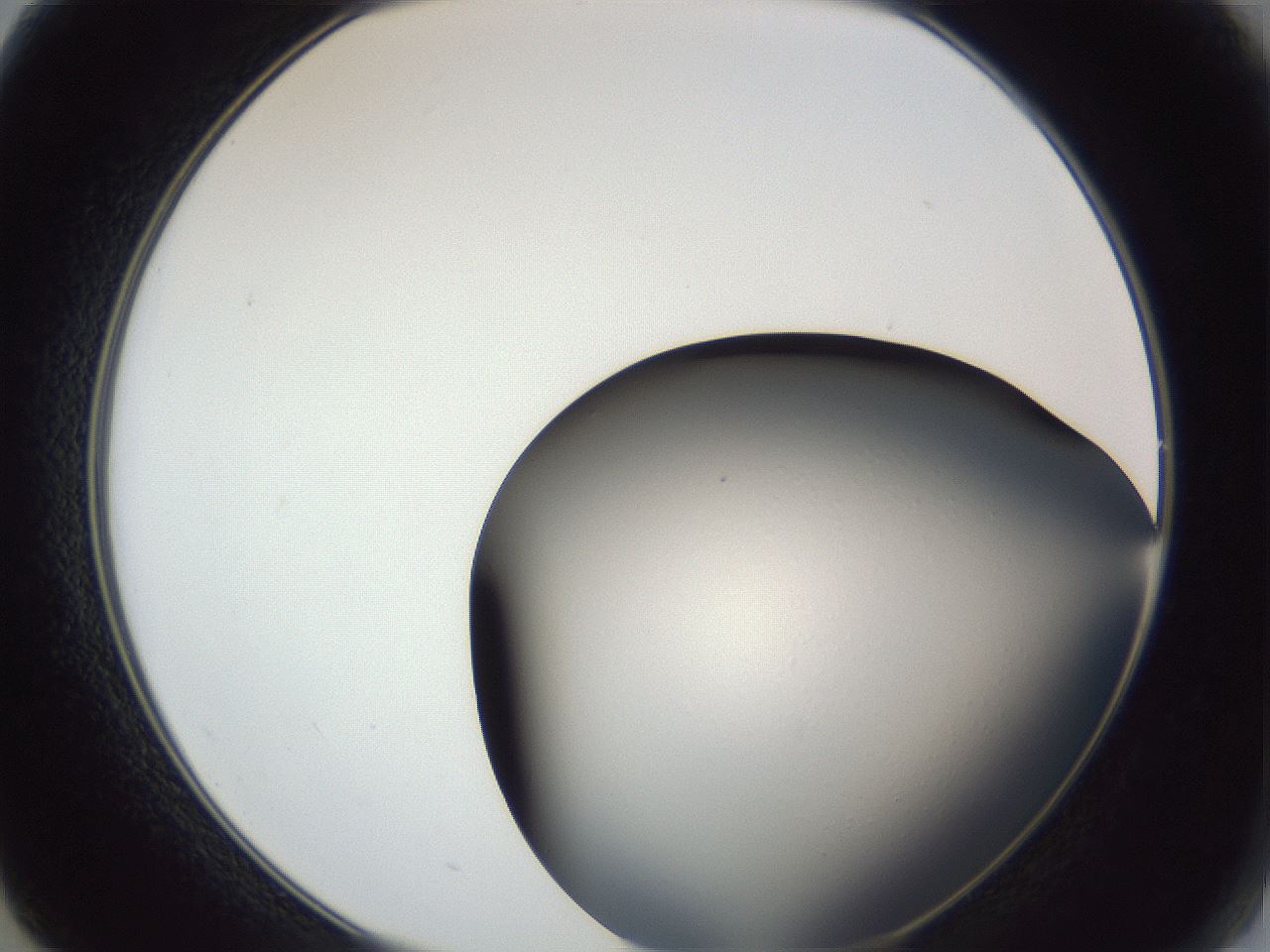 folderID364_plateID1364_batchID4726_wellNum14_profileID1_d2_r82603_ef.jpg