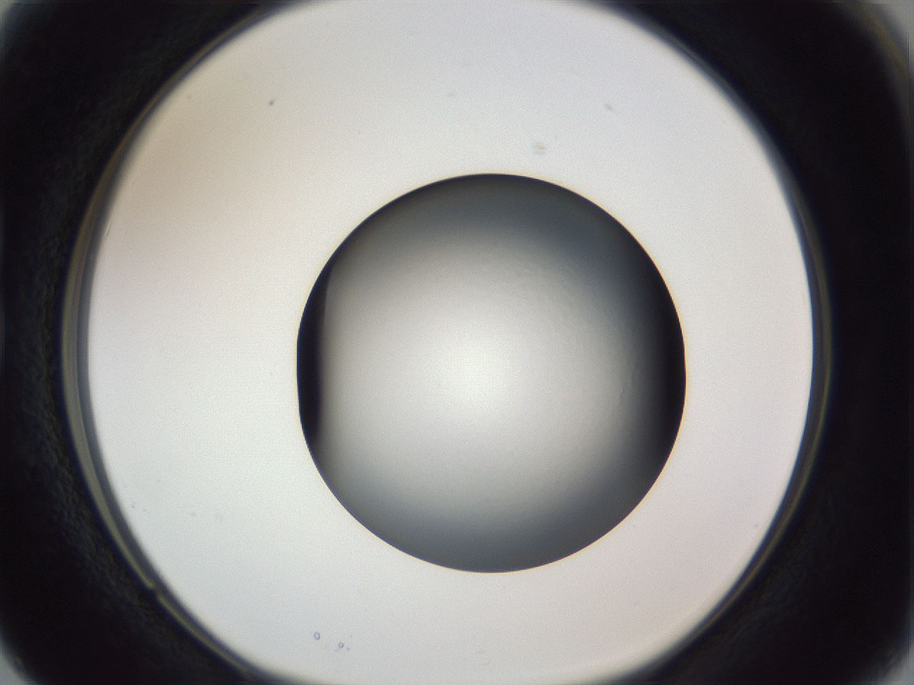 folderID364_plateID1364_batchID4726_wellNum15_profileID1_d1_r82604_ef.jpg