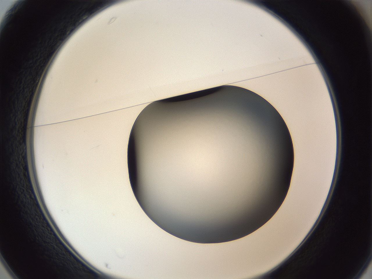 folderID364_plateID1364_batchID4726_wellNum25_profileID1_d1_r82624_ef.jpg