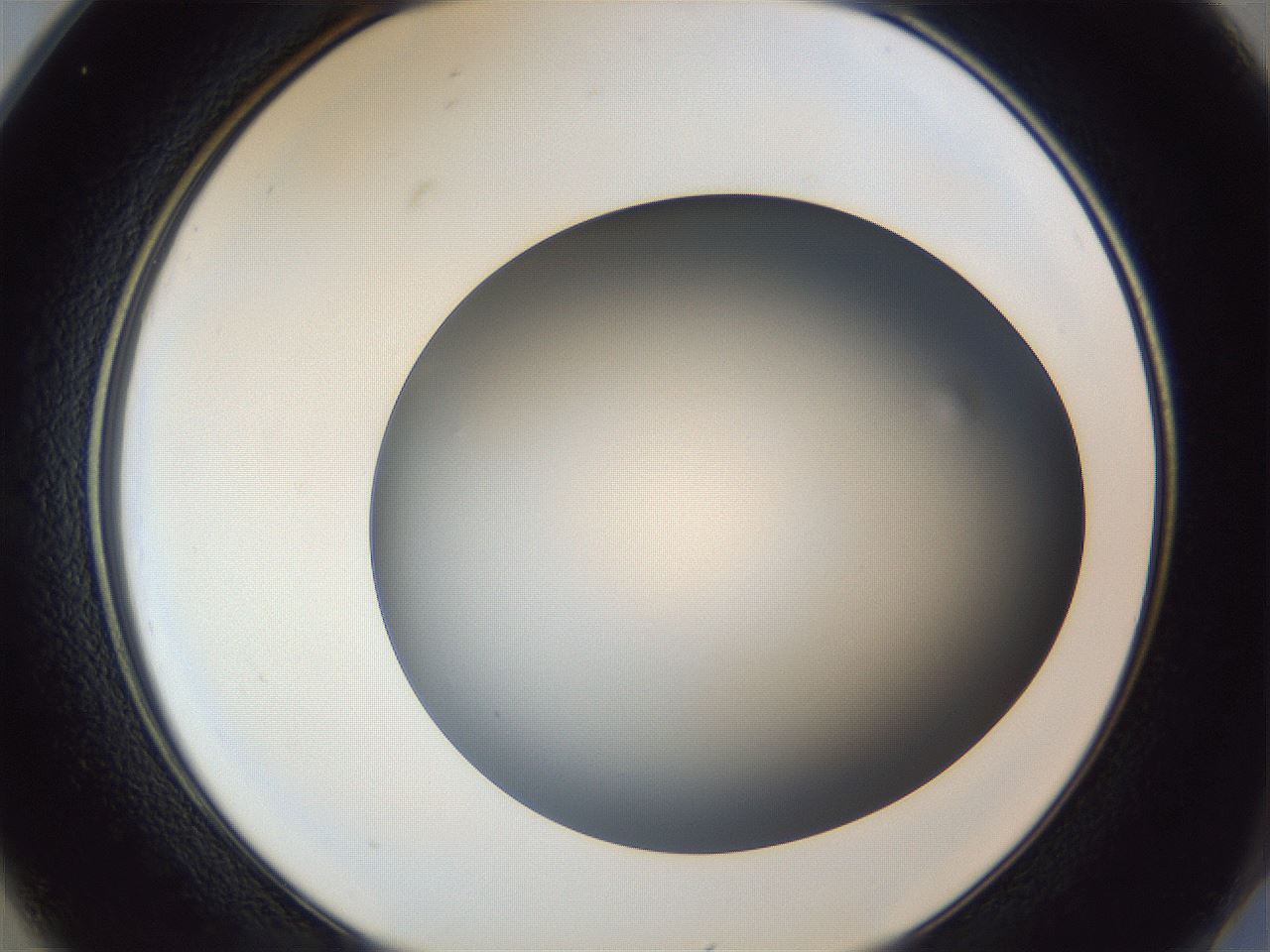 folderID364_plateID1364_batchID4726_wellNum25_profileID1_d2_r82625_ef.jpg