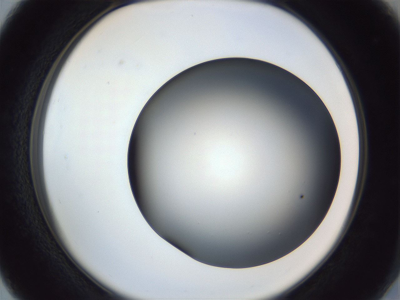 folderID364_plateID1364_batchID4726_wellNum27_profileID1_d2_r82629_ef.jpg