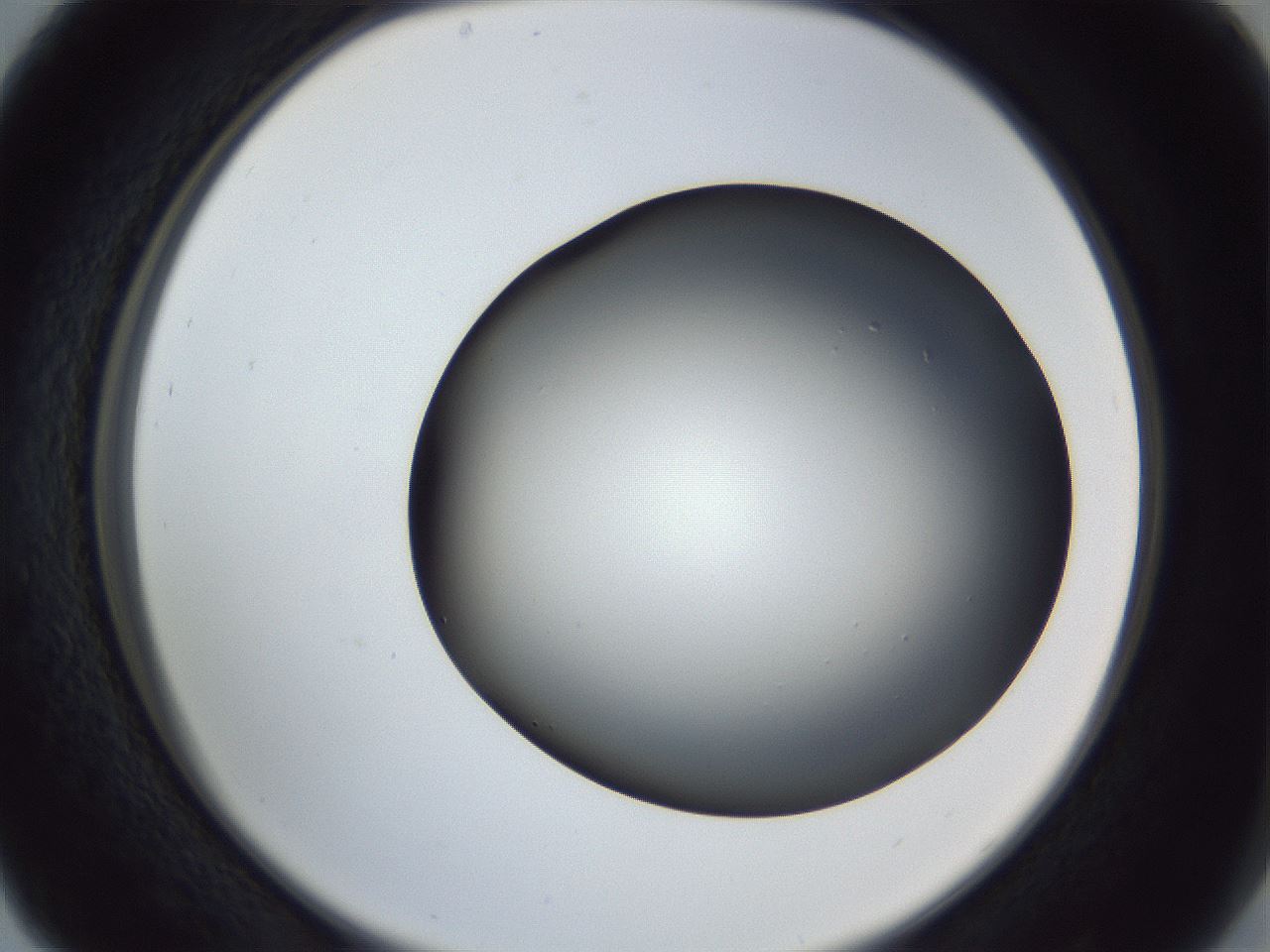 folderID364_plateID1364_batchID4726_wellNum29_profileID1_d2_r82633_ef.jpg
