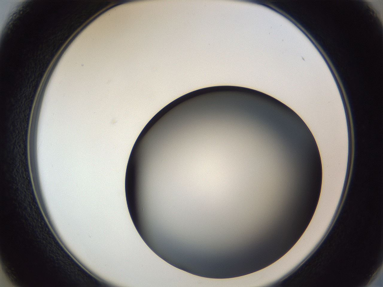 folderID364_plateID1364_batchID4726_wellNum37_profileID1_d2_r82649_ef.jpg