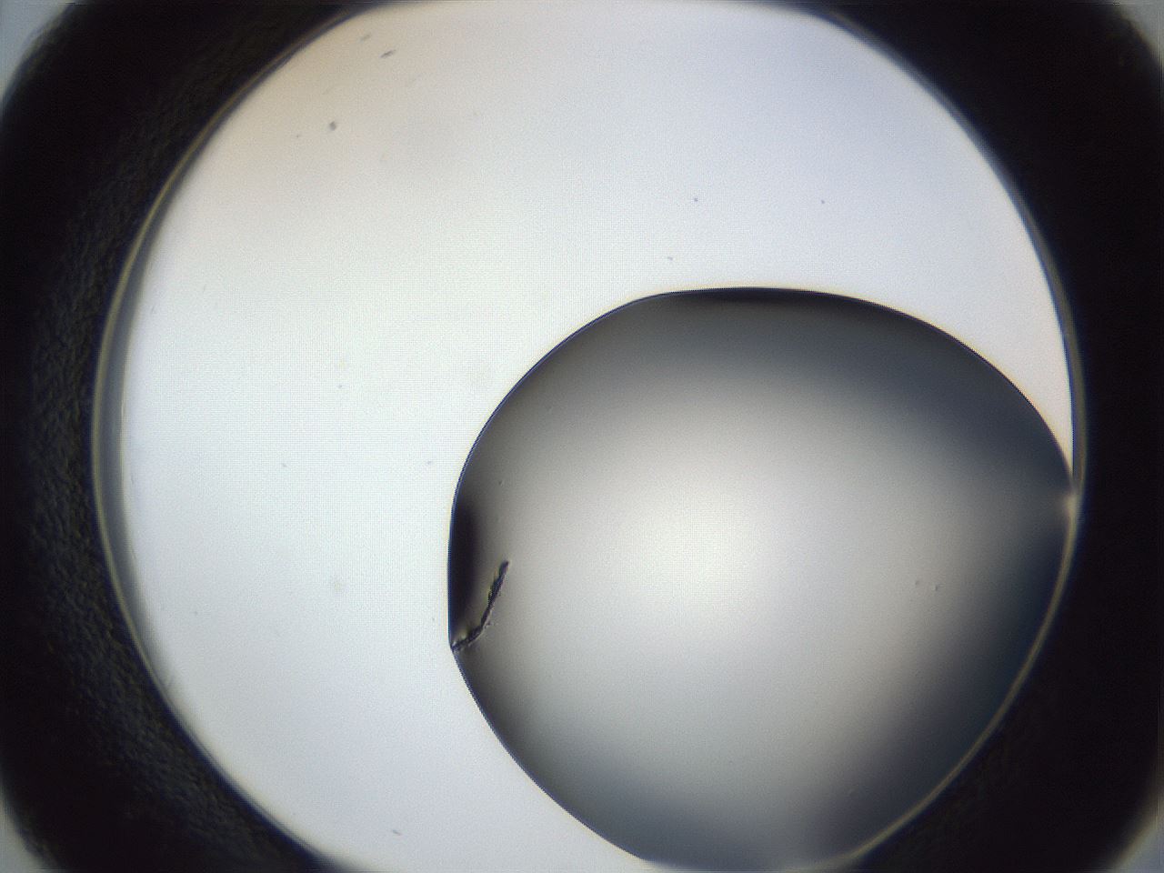 folderID364_plateID1364_batchID4726_wellNum38_profileID1_d2_r82651_ef.jpg