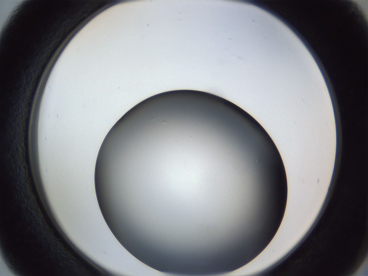 folderID364_plateID1364_batchID4726_wellNum39_profileID1_d2_r82653_ef.jpg