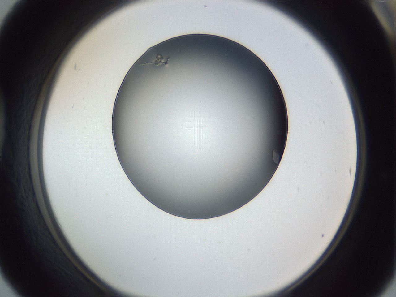 folderID364_plateID1364_batchID4726_wellNum42_profileID1_d1_r82658_ef.jpg