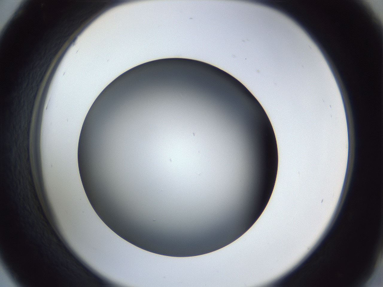 folderID364_plateID1364_batchID4726_wellNum42_profileID1_d2_r82659_ef.jpg