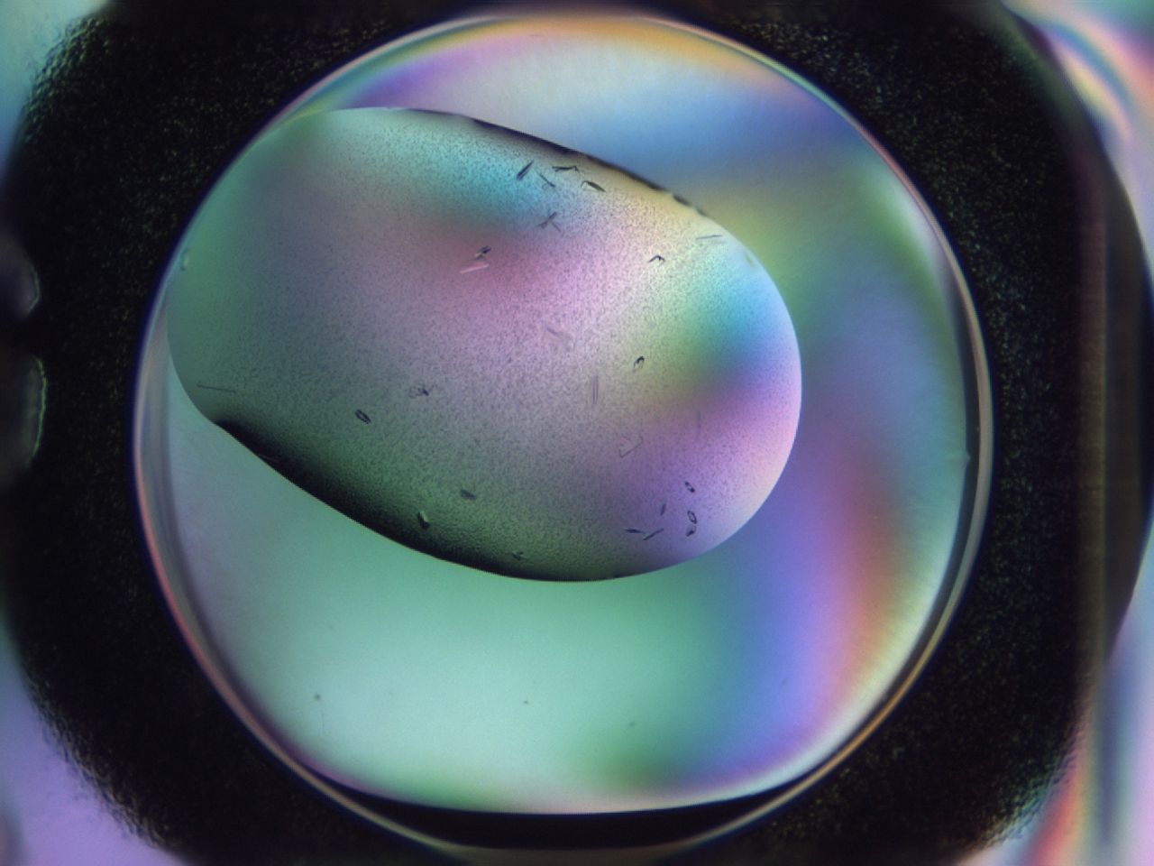 02kk_G3_ImagerDefaults_9.jpg
