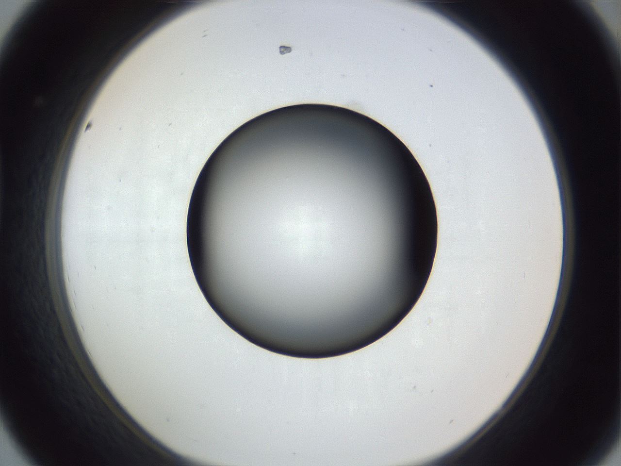 folderID364_plateID1364_batchID4726_wellNum44_profileID1_d1_r82662_ef.jpg