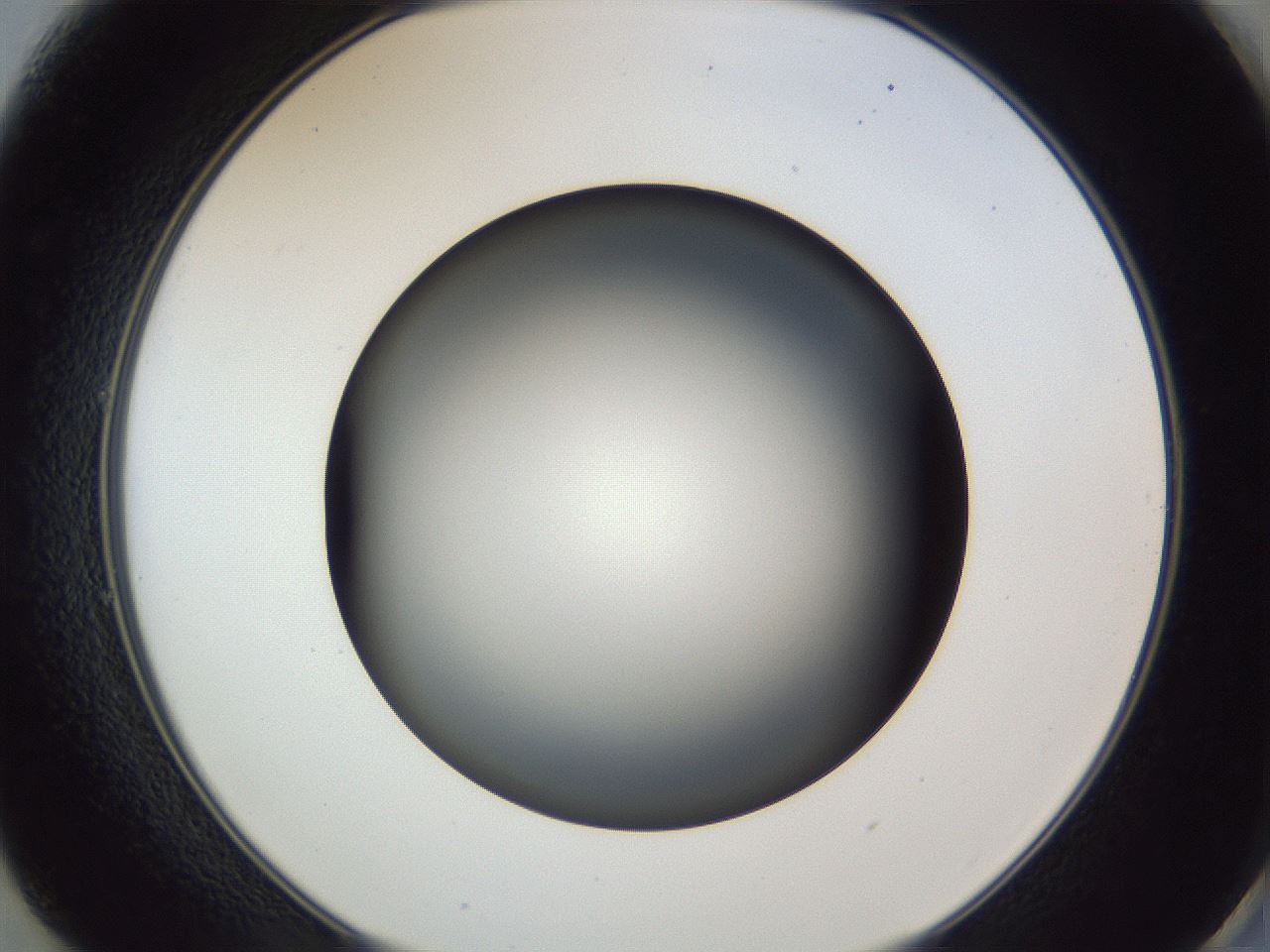 folderID364_plateID1364_batchID4726_wellNum49_profileID1_d2_r82673_ef.jpg