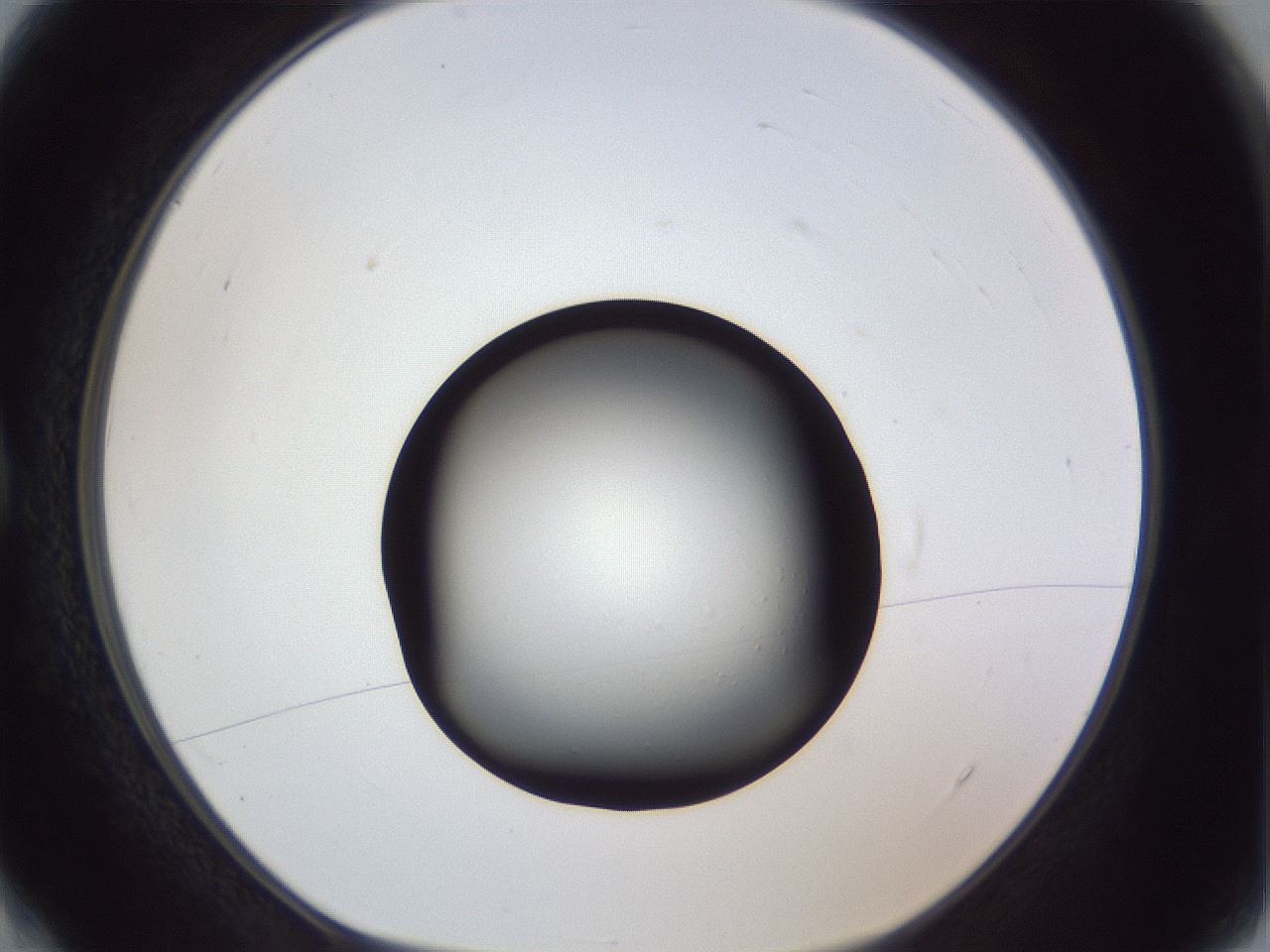 folderID364_plateID1364_batchID4726_wellNum4_profileID1_d1_r82582_ef.jpg