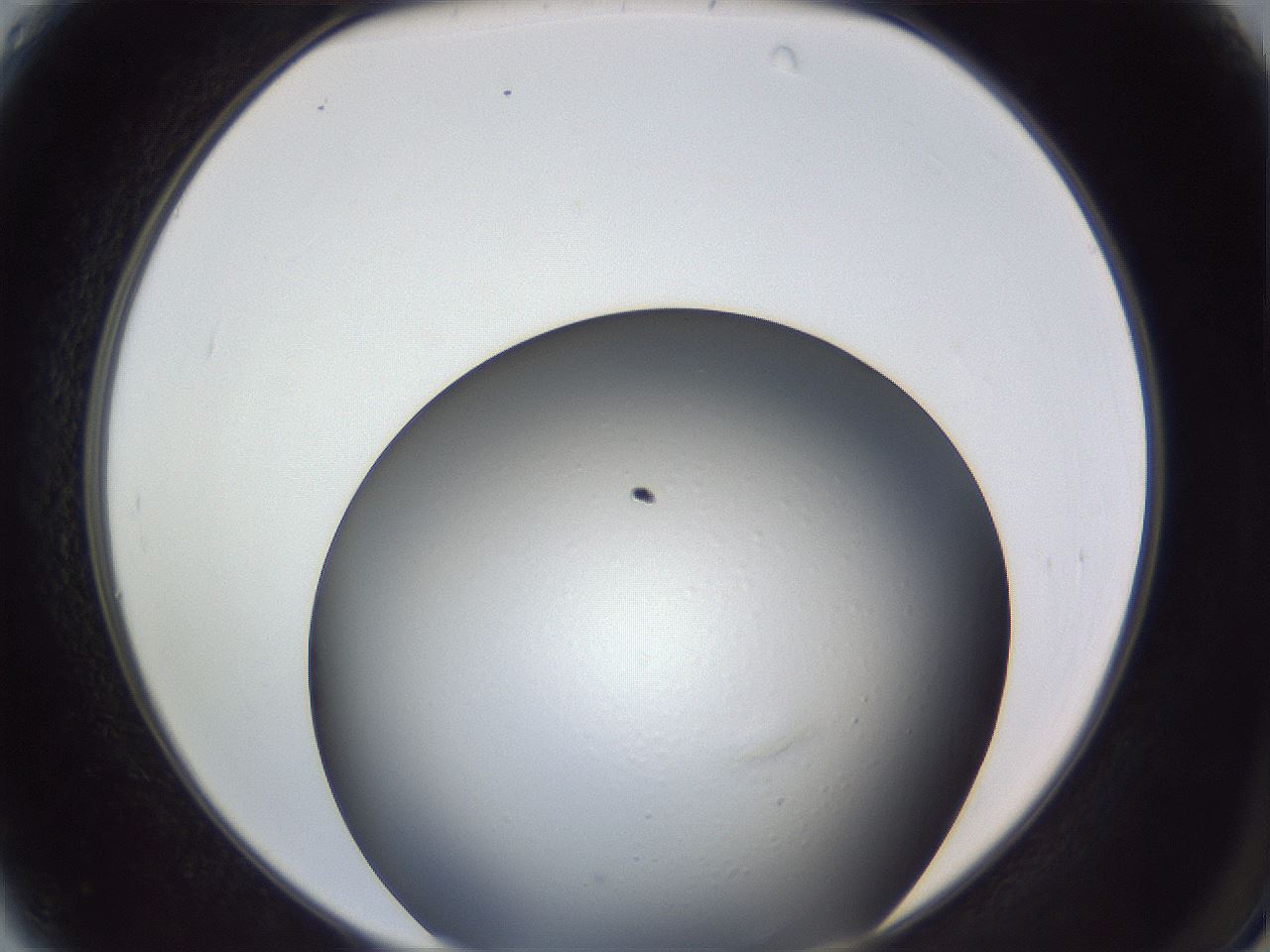 folderID364_plateID1364_batchID4726_wellNum4_profileID1_d2_r82583_ef.jpg
