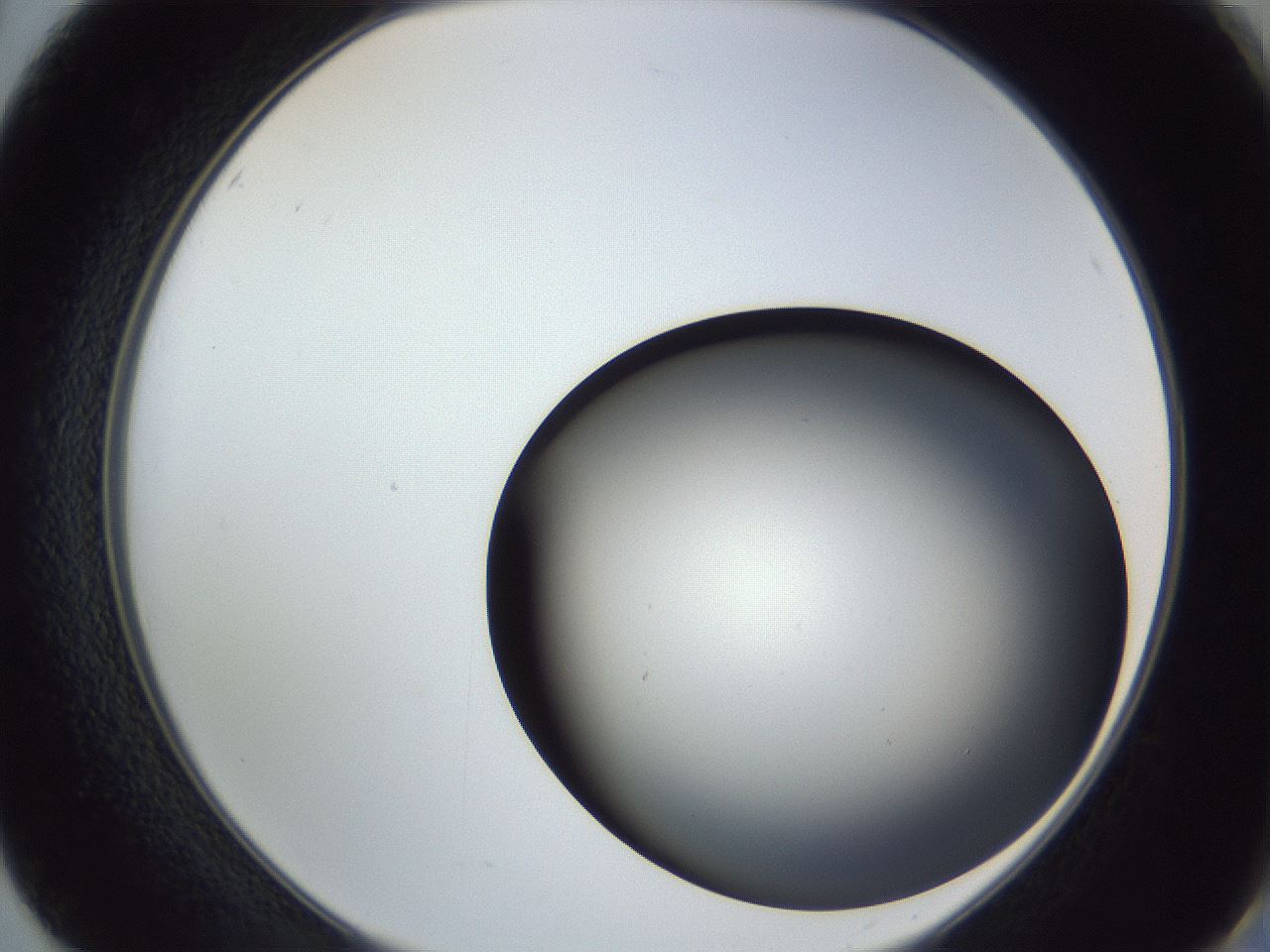 folderID364_plateID1364_batchID4726_wellNum50_profileID1_d2_r82675_ef.jpg