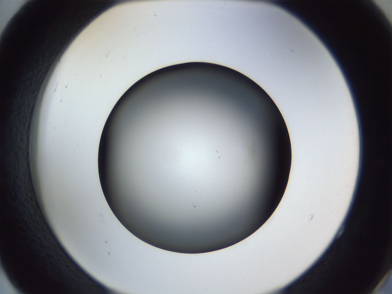 folderID364_plateID1364_batchID4726_wellNum52_profileID1_d2_r82679_ef.jpg