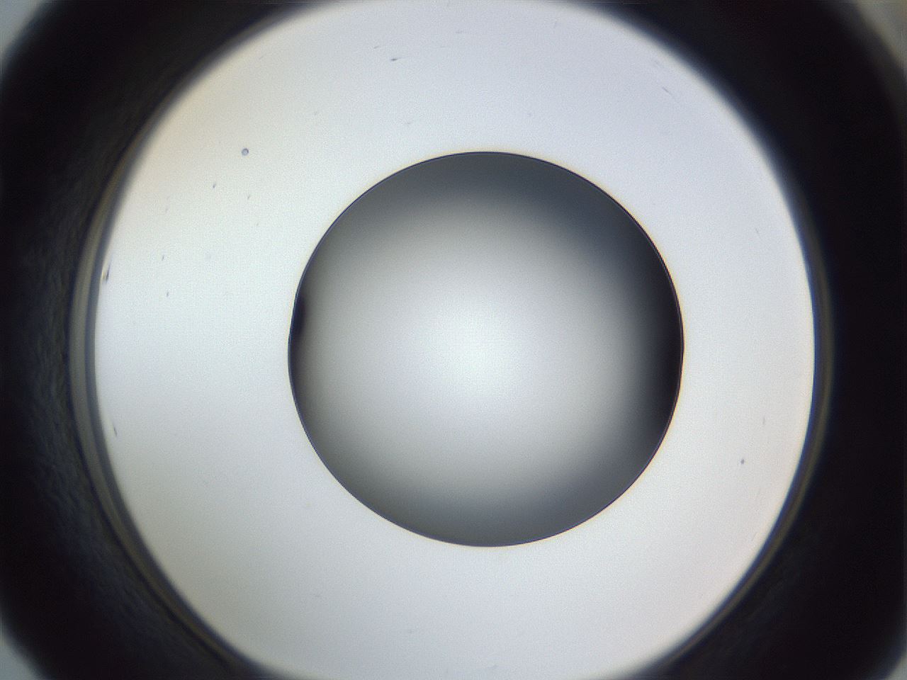 folderID364_plateID1364_batchID4726_wellNum53_profileID1_d1_r82680_ef.jpg