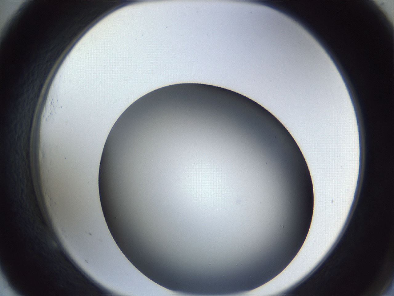 folderID364_plateID1364_batchID4726_wellNum53_profileID1_d2_r82681_ef.jpg