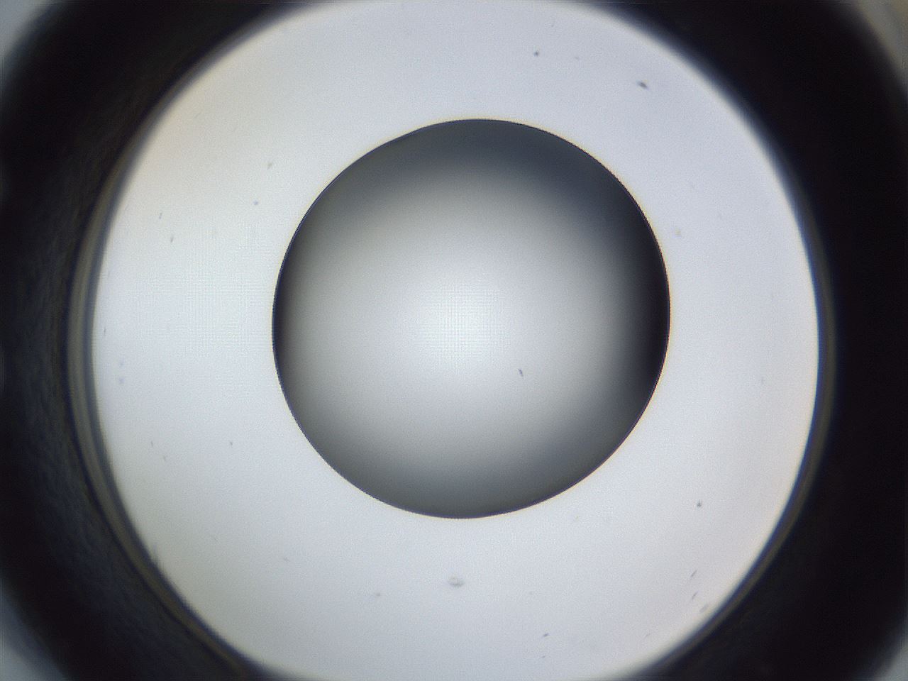 folderID364_plateID1364_batchID4726_wellNum54_profileID1_d1_r82682_ef.jpg