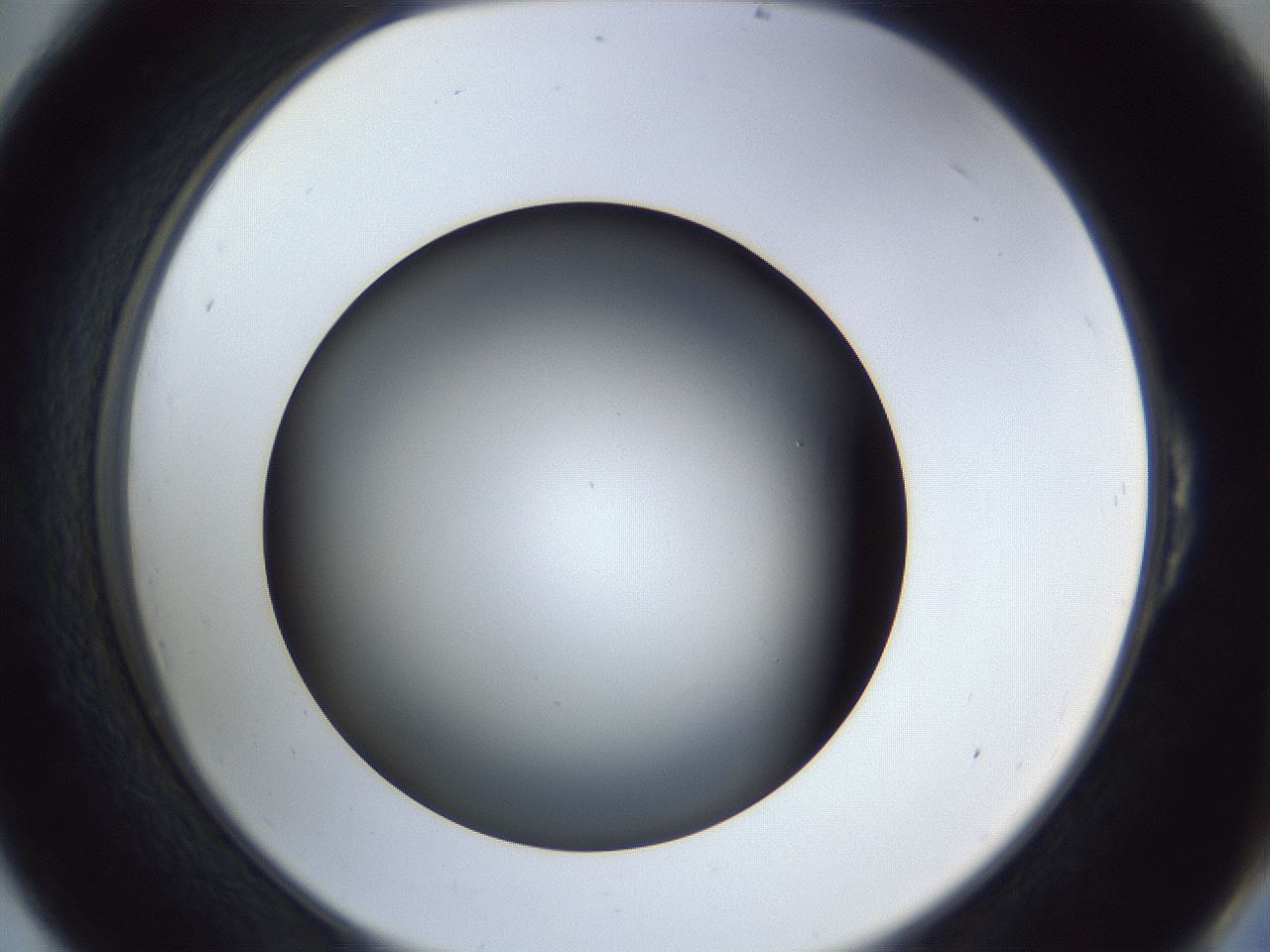 folderID364_plateID1364_batchID4726_wellNum54_profileID1_d2_r82683_ef.jpg