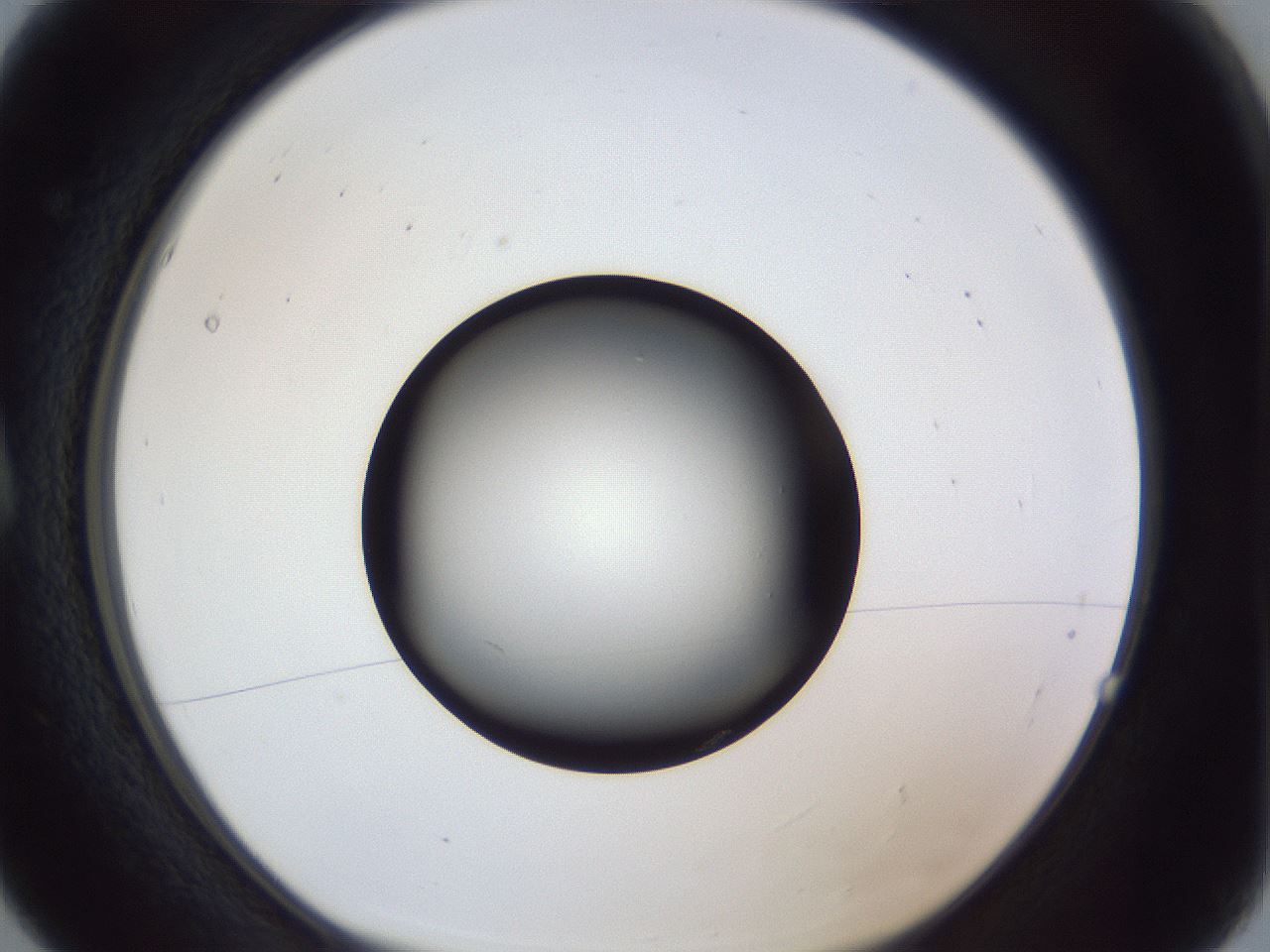 folderID364_plateID1364_batchID4726_wellNum5_profileID1_d1_r82584_ef.jpg