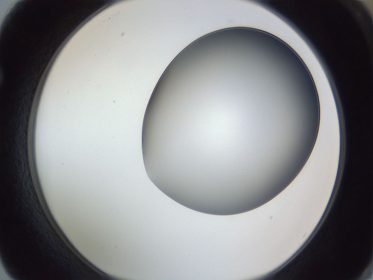 folderID364_plateID1364_batchID4726_wellNum62_profileID1_d1_r82698_ef.jpg