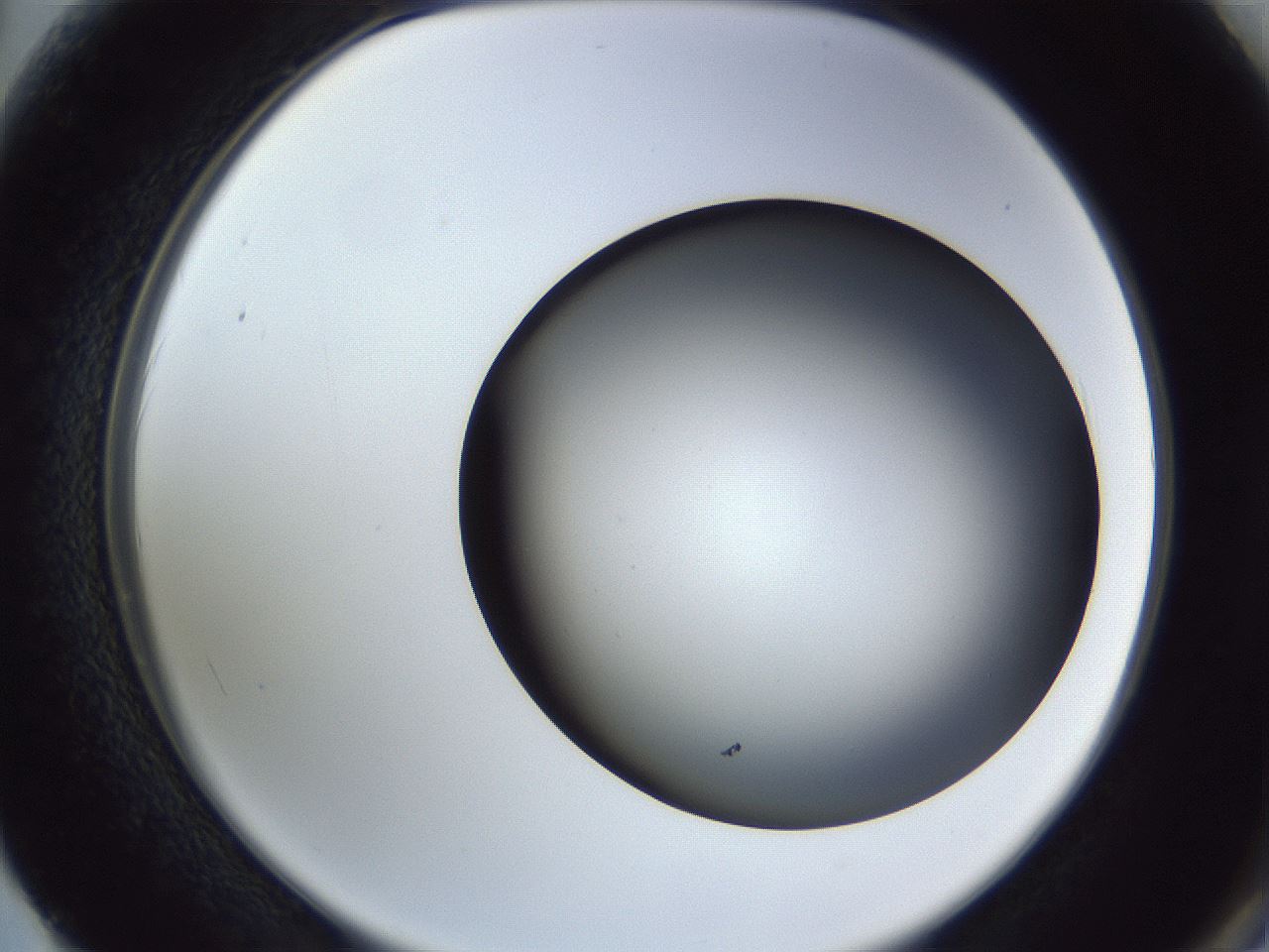 folderID364_plateID1364_batchID4726_wellNum62_profileID1_d2_r82699_ef.jpg