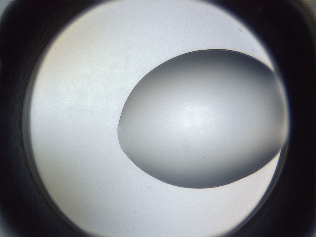 folderID364_plateID1364_batchID4726_wellNum64_profileID1_d1_r82702_ef.jpg