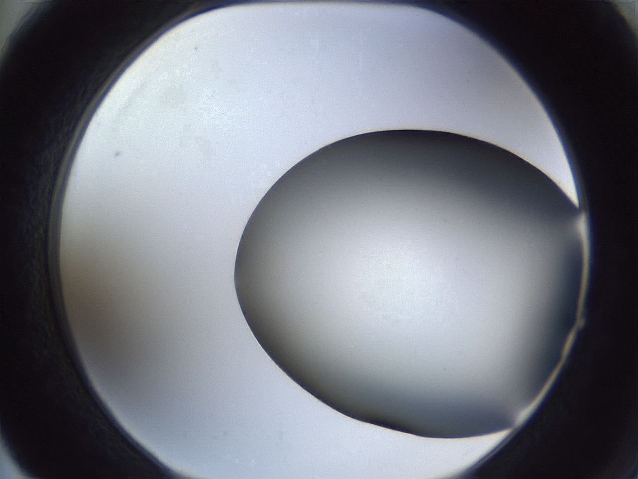 folderID364_plateID1364_batchID4726_wellNum64_profileID1_d2_r82703_ef.jpg