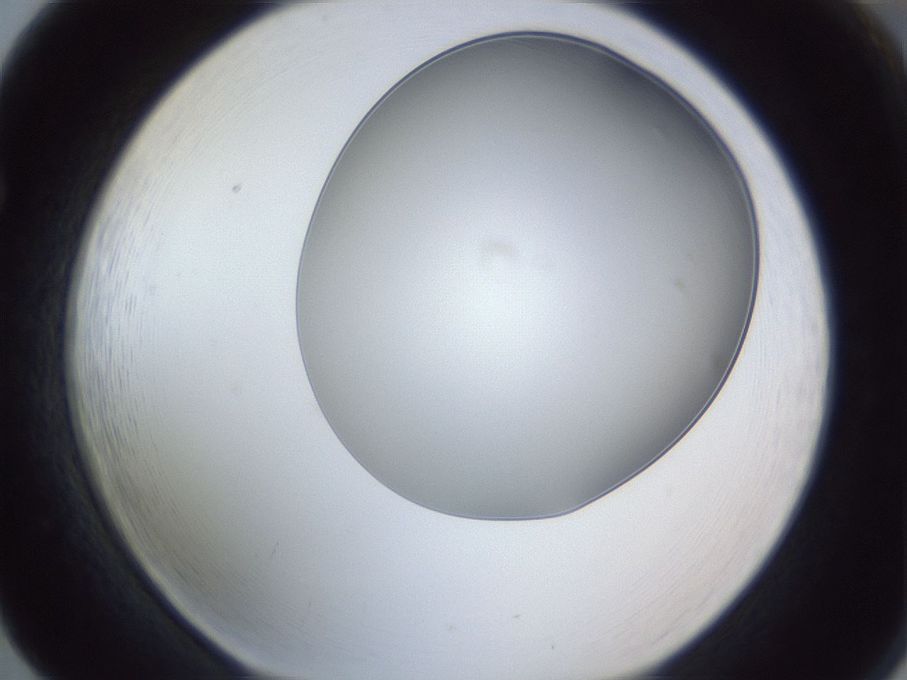 folderID364_plateID1364_batchID4726_wellNum65_profileID1_d1_r82704_ef.jpg