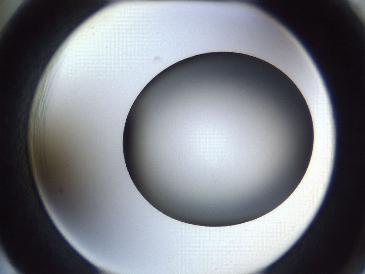 folderID364_plateID1364_batchID4726_wellNum65_profileID1_d2_r82705_ef.jpg