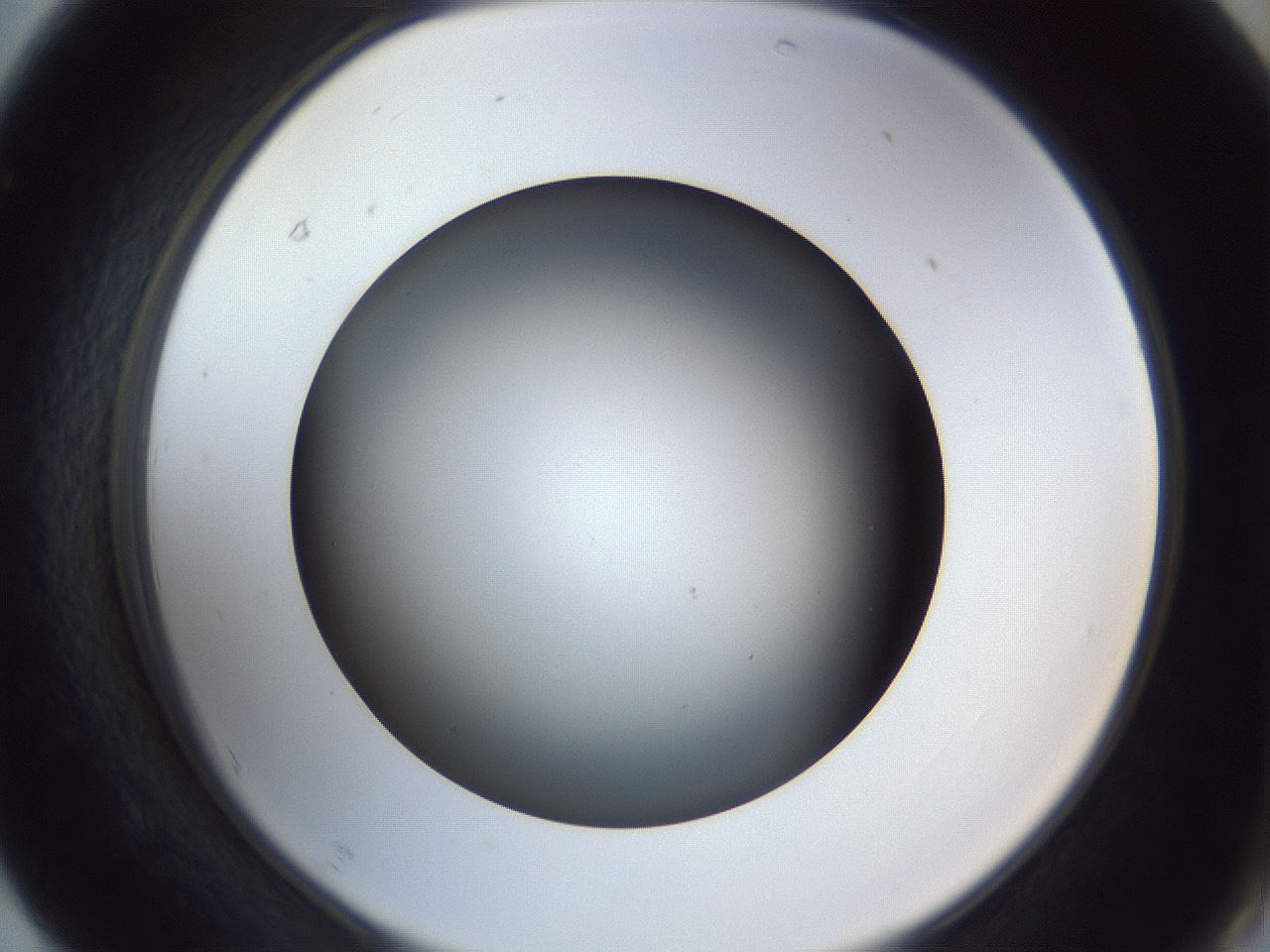 folderID364_plateID1364_batchID4726_wellNum67_profileID1_d2_r82709_ef.jpg
